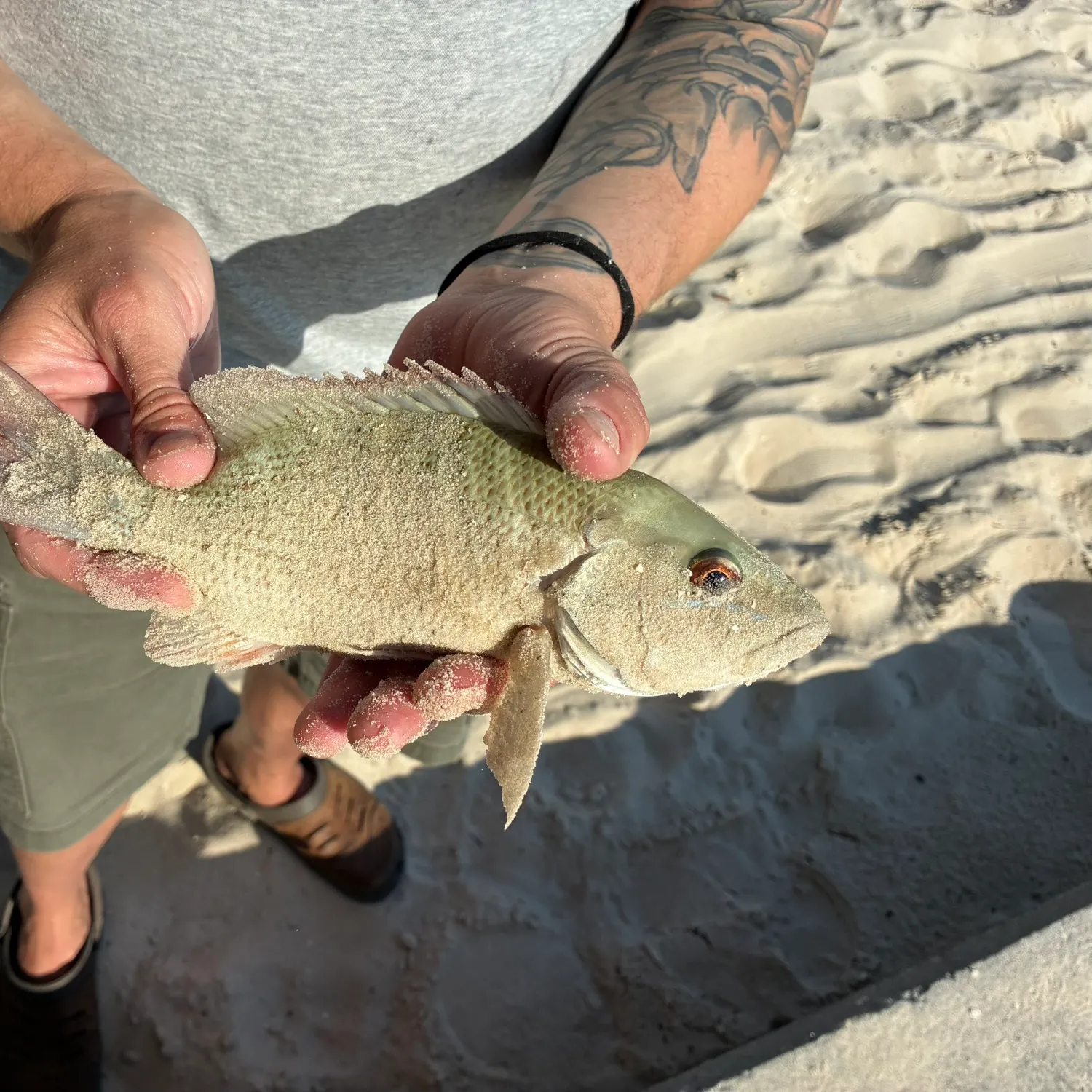 catch
