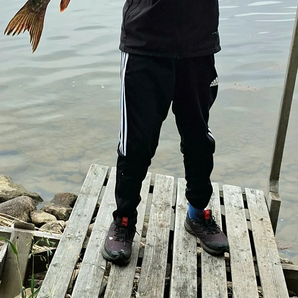 Northern pike caught on Fishbrain