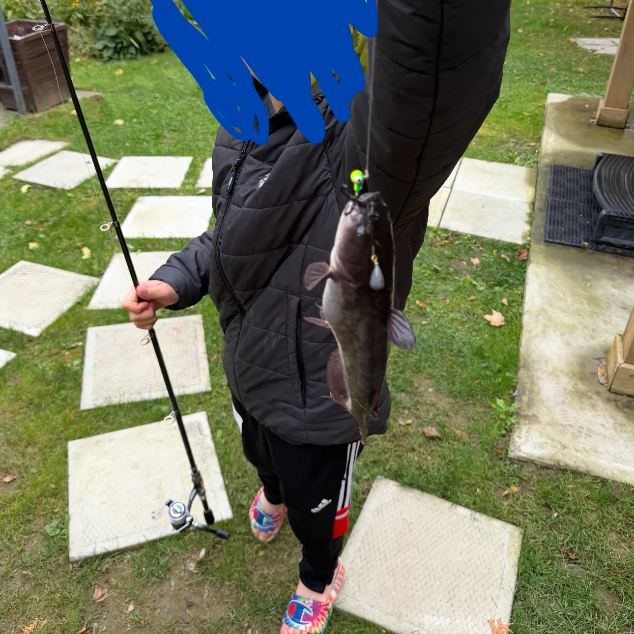 Channel catfish caught on Fishbrain