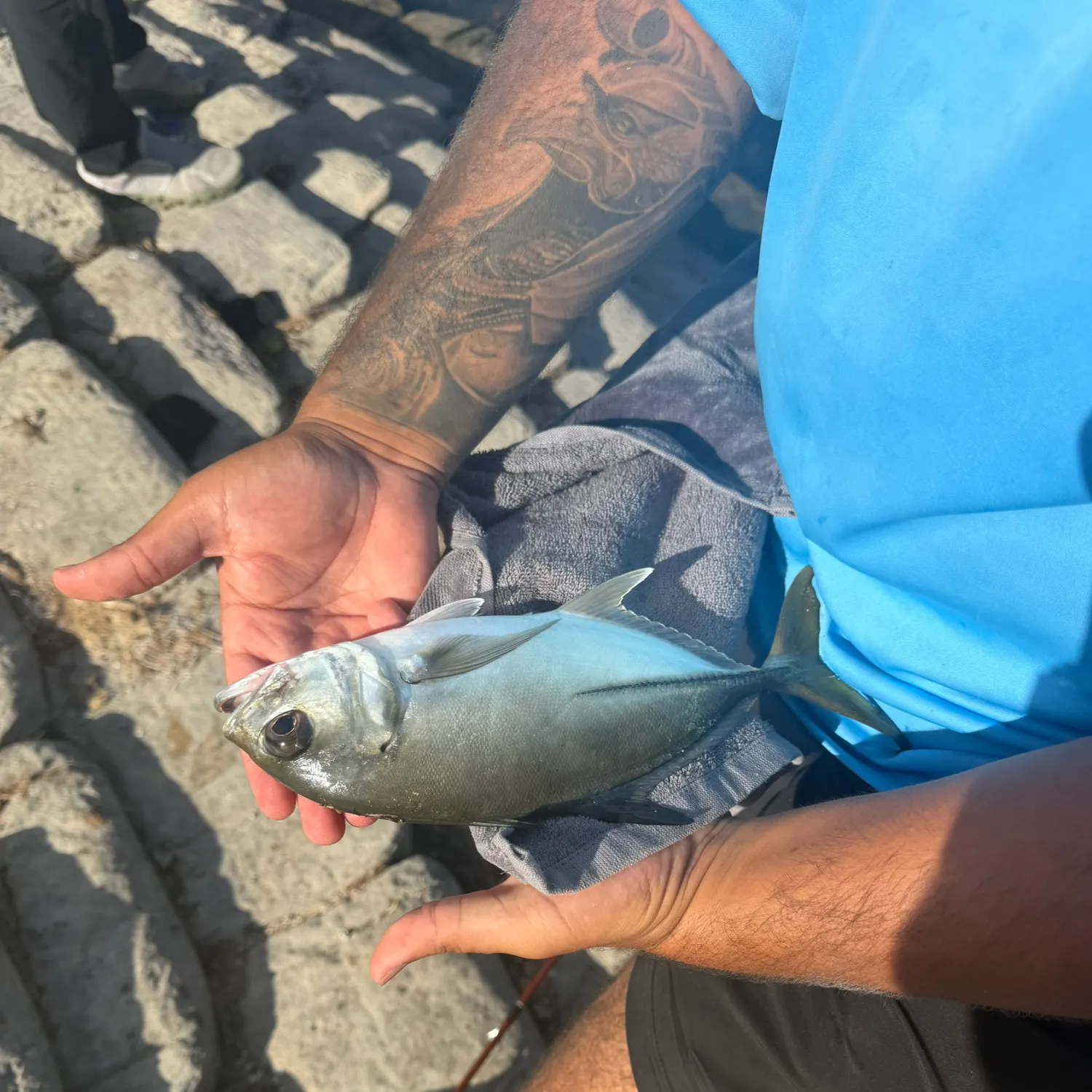 Crevalle jack caught on Fishbrain