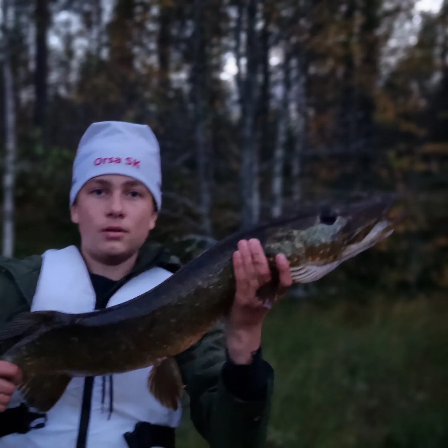 Northern pike caught on Fishbrain