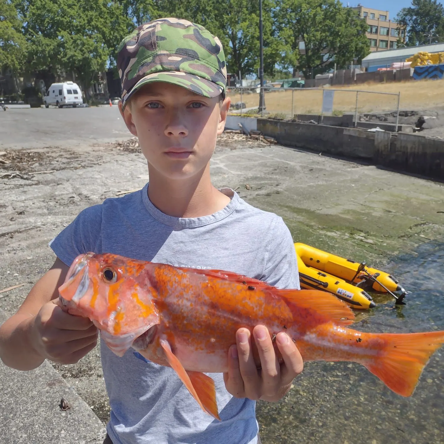 The most recent Canary rockfish catches on Fishbrain