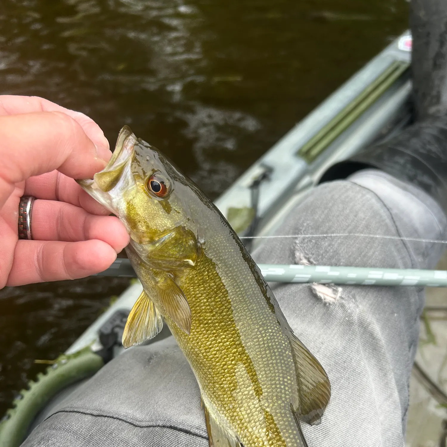 most liked catch image
