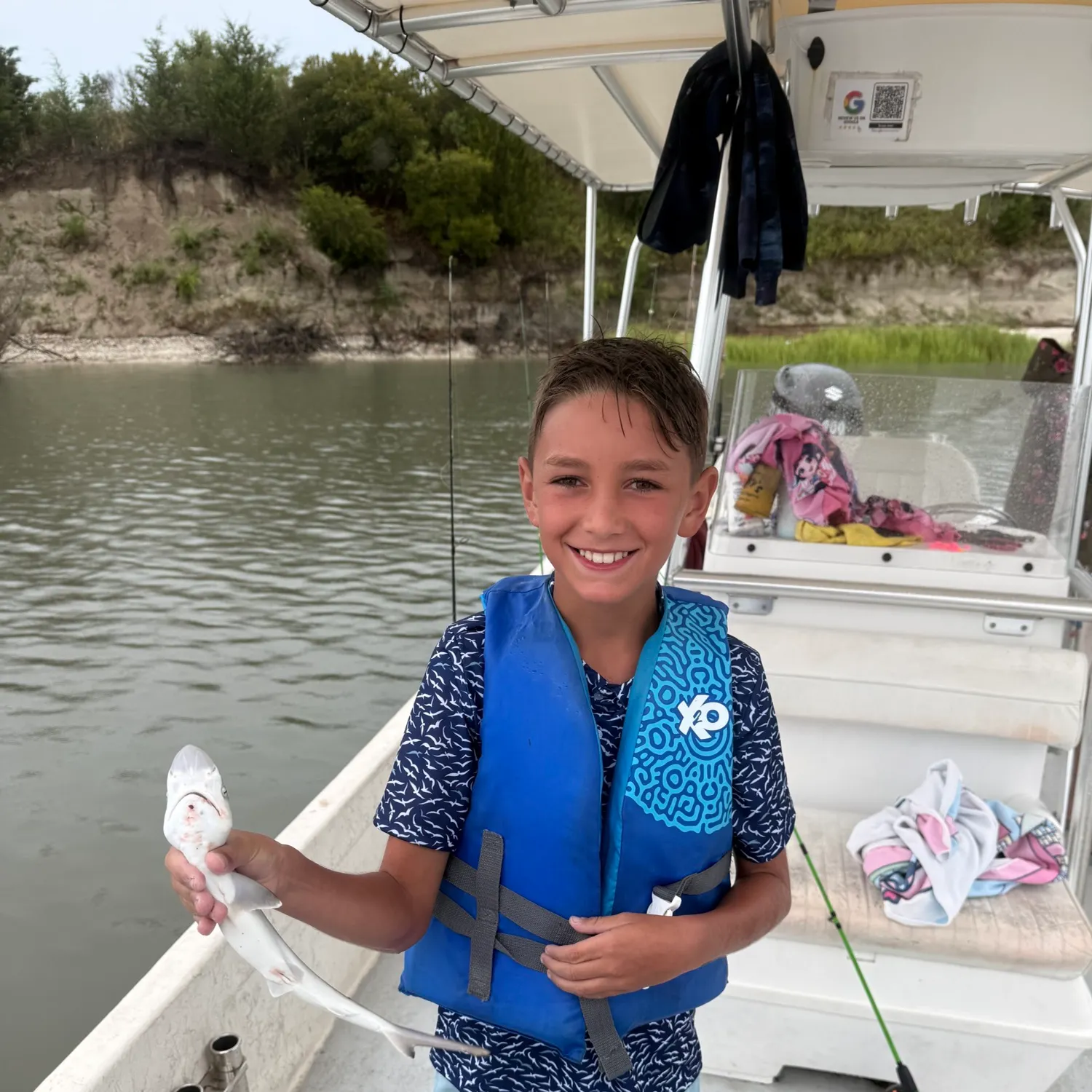 The most recent Lemon shark catches on Fishbrain