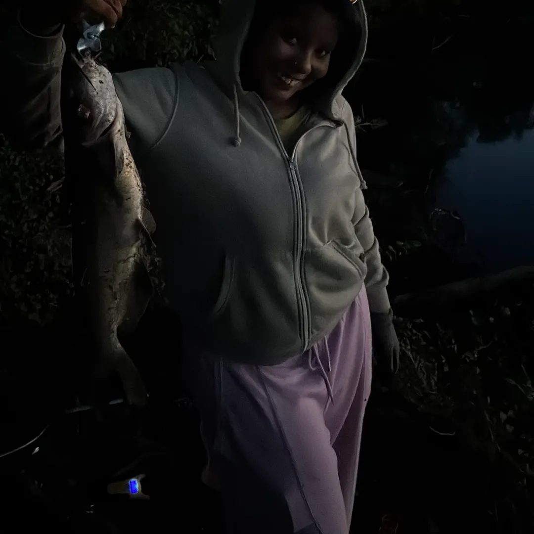 Channel catfish caught on Fishbrain