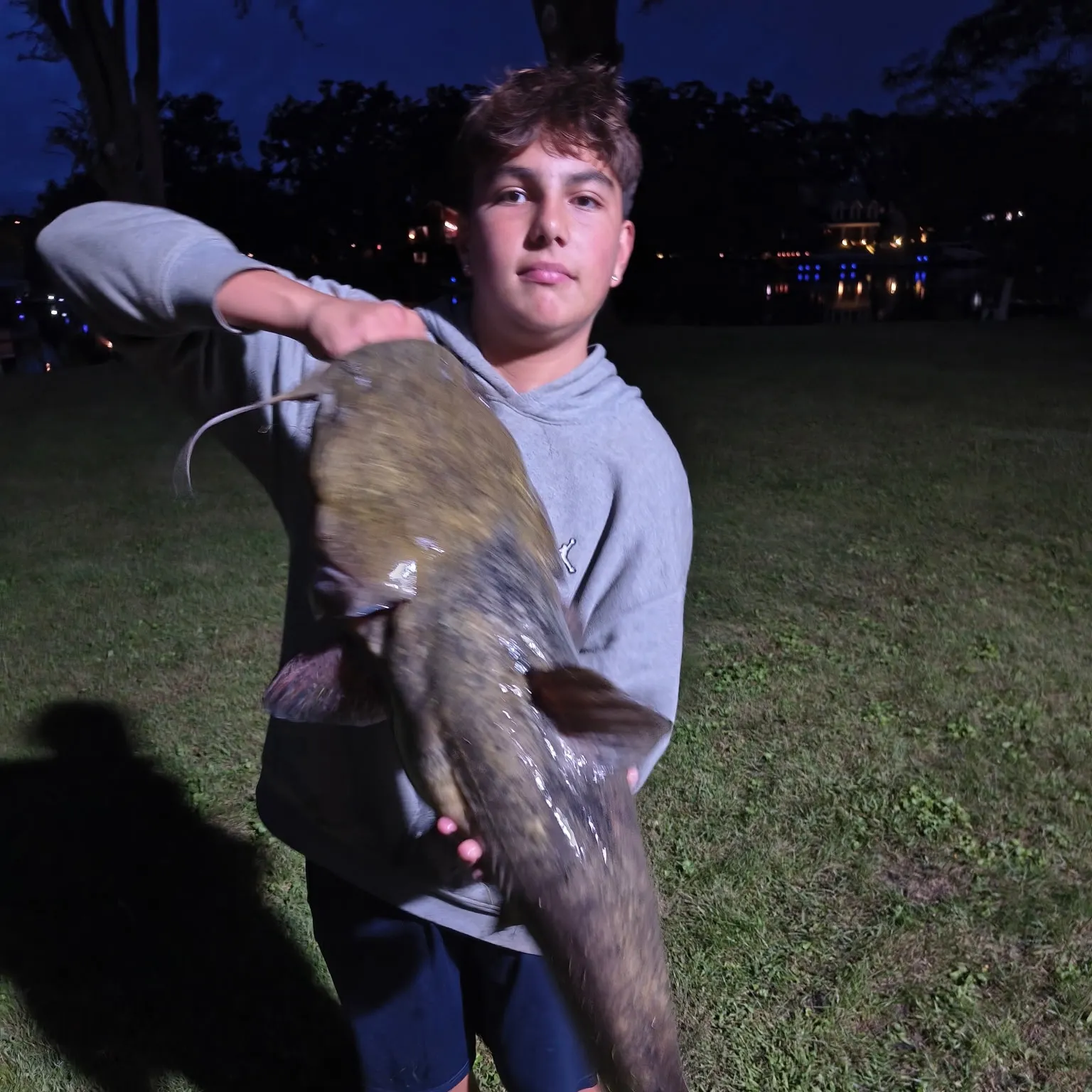 Flathead catfish caught on Fishbrain