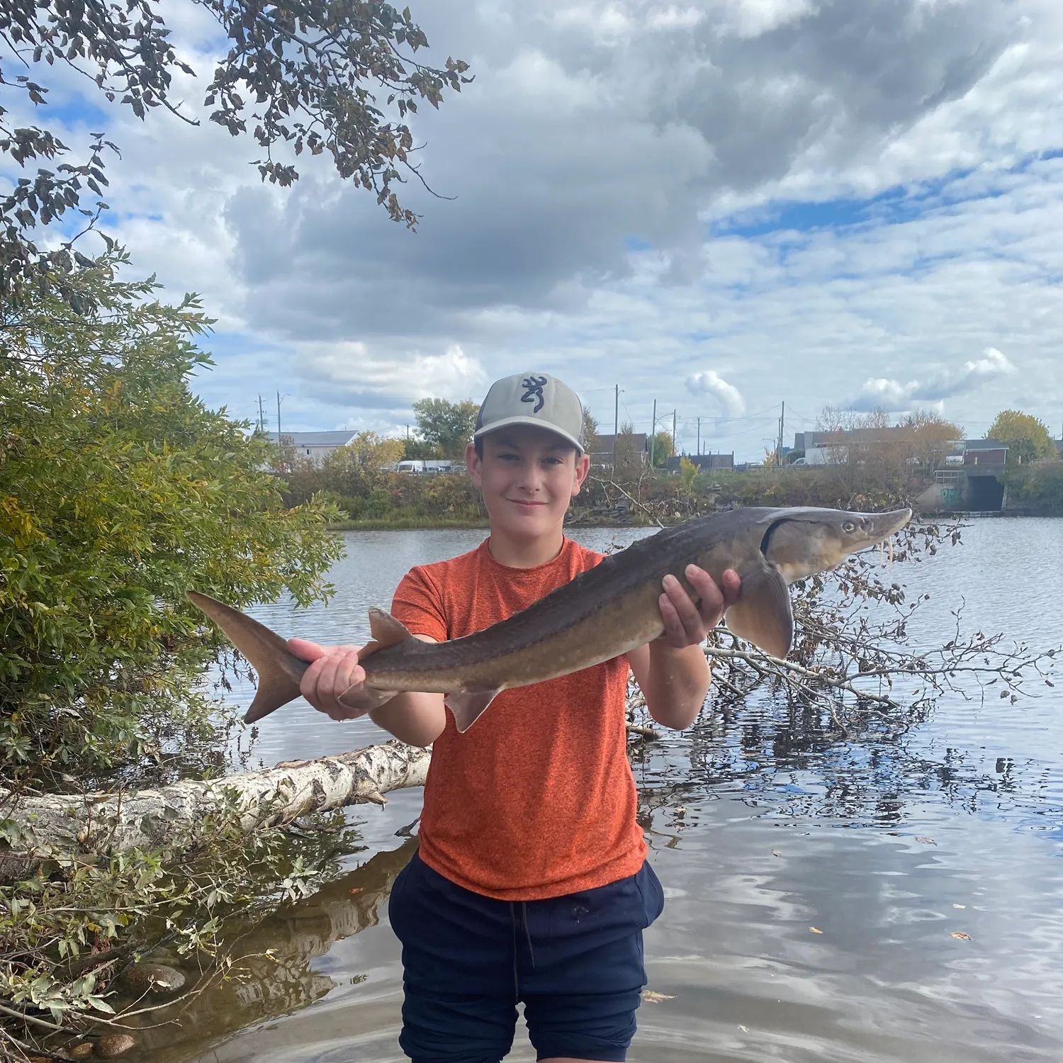 Lake sturgeon caught on Fishbrain