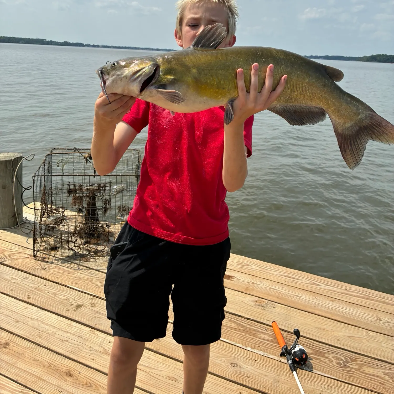 Channel catfish caught on Fishbrain