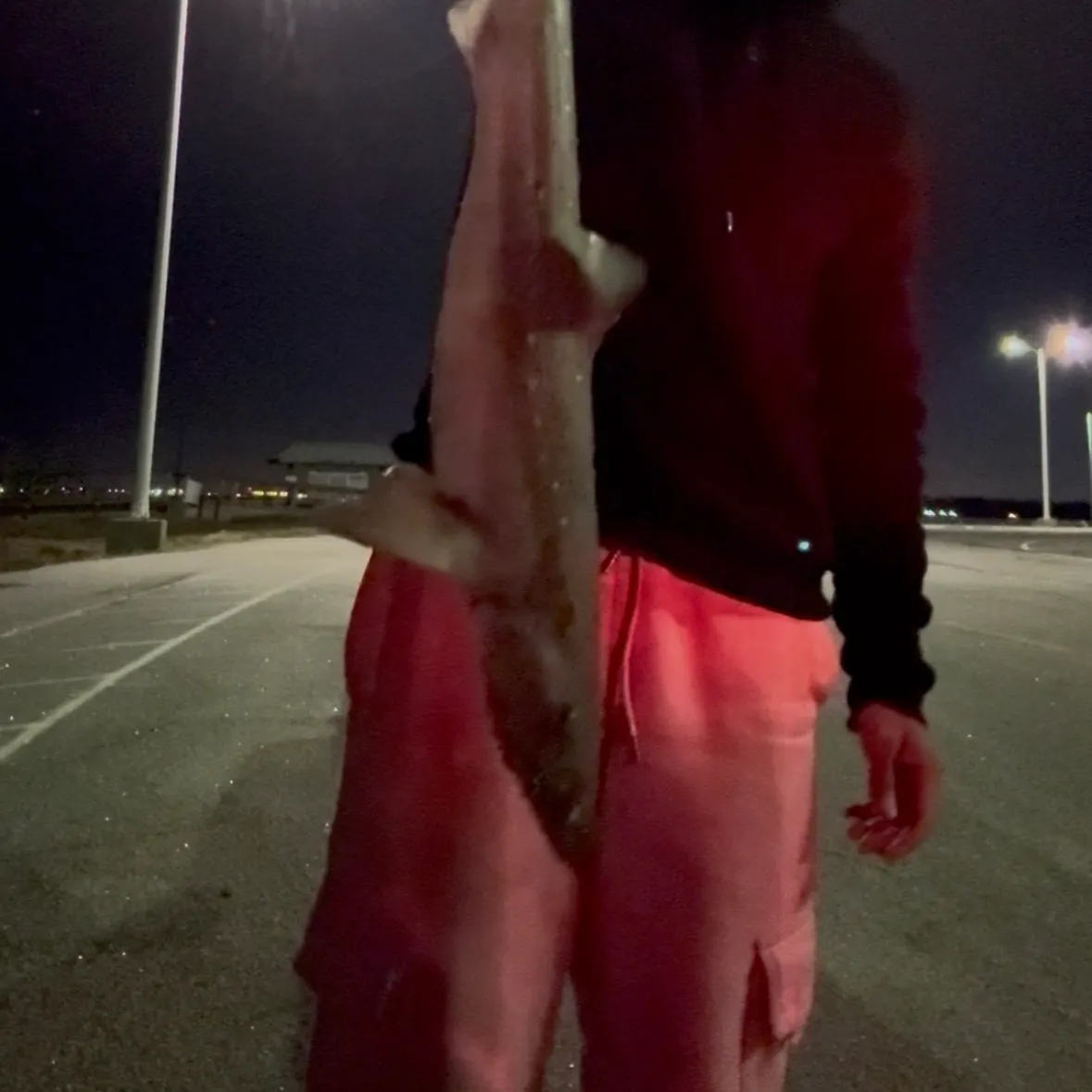 The most recent Piked dogfish catches on Fishbrain