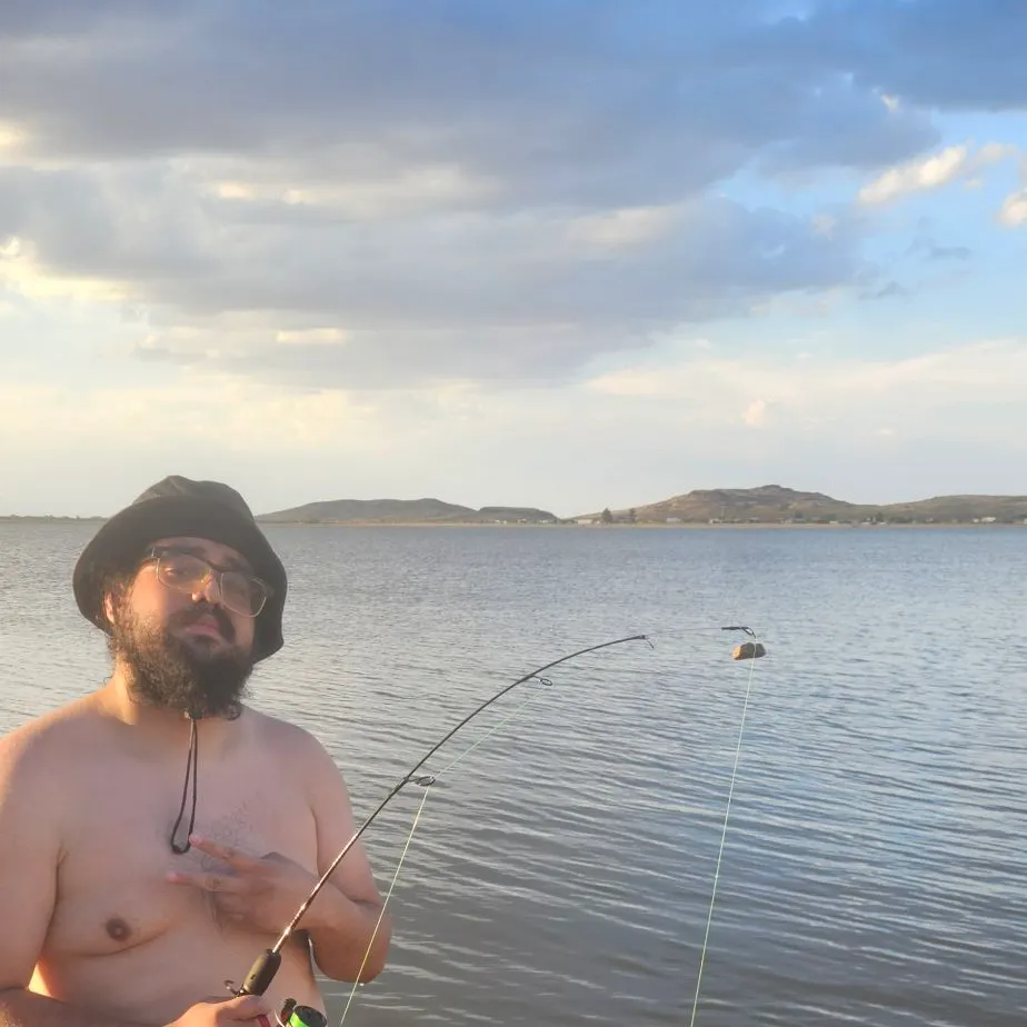 Channel catfish caught on Fishbrain