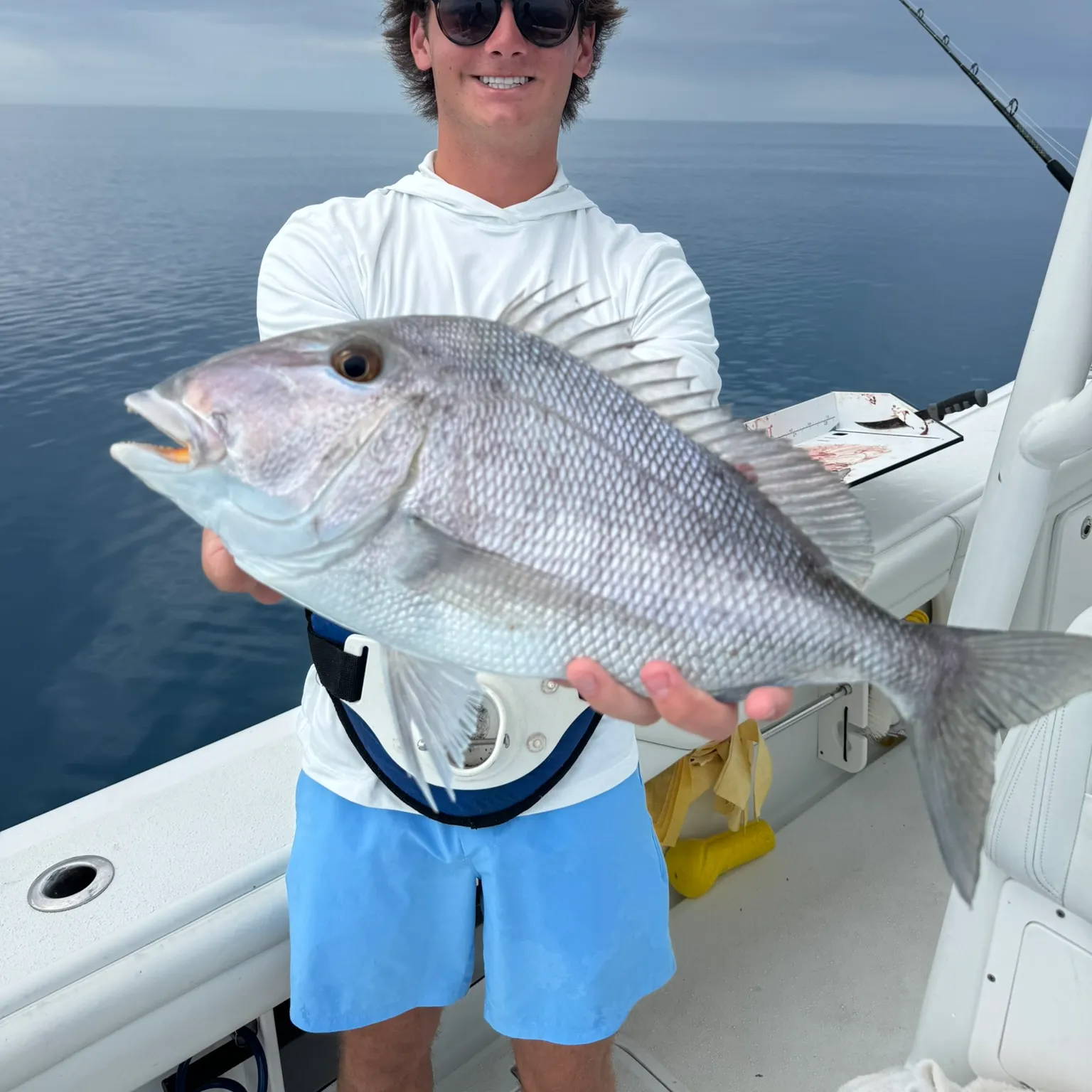 The most recent Jolthead porgy catches on Fishbrain