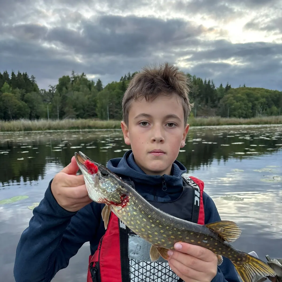Northern pike caught on Fishbrain