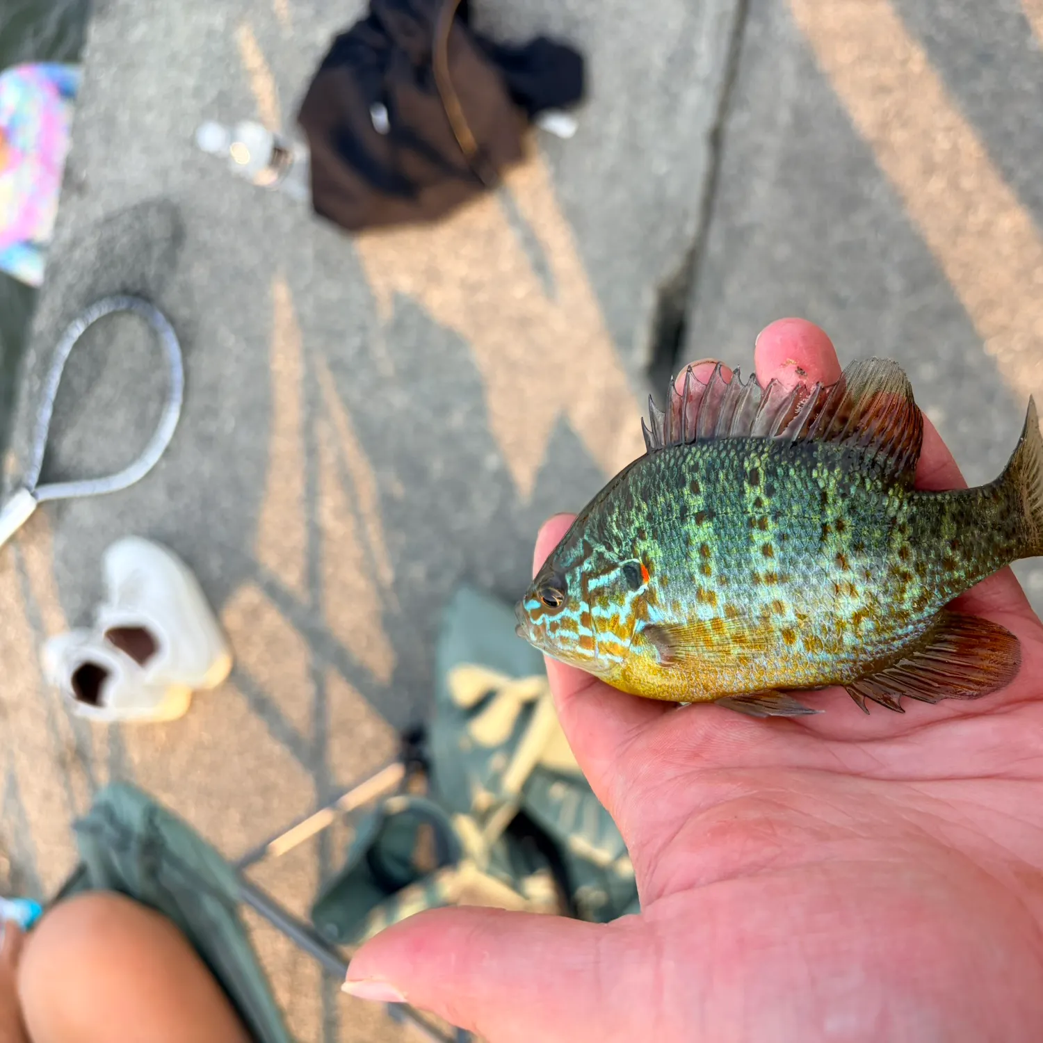 catch