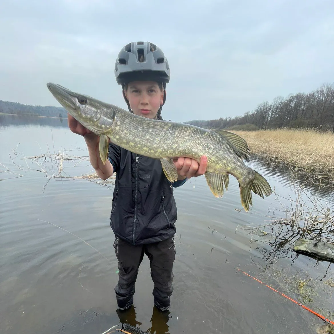 The most recent Northern pike catches on Fishbrain