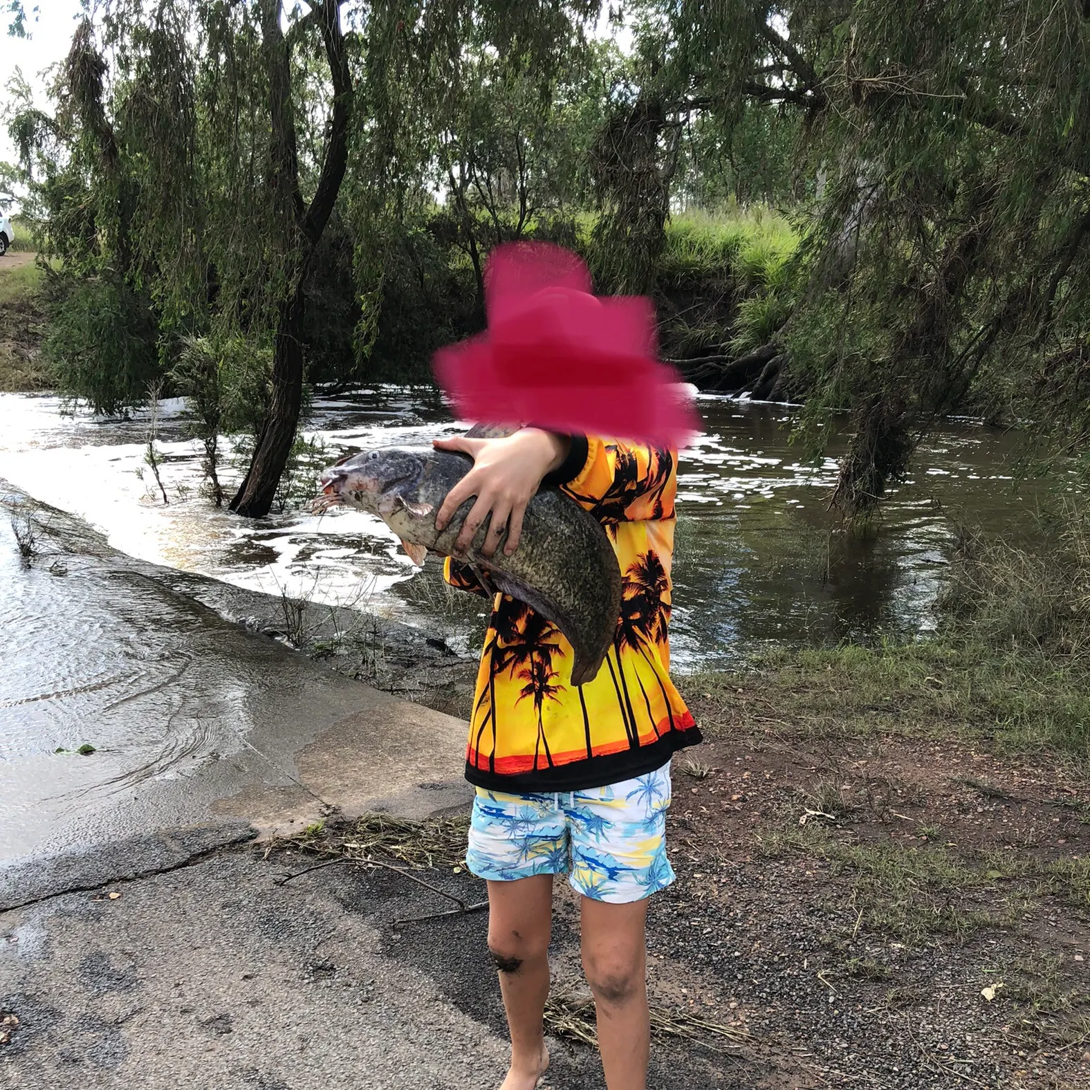 The most recent Dewfish catches on Fishbrain