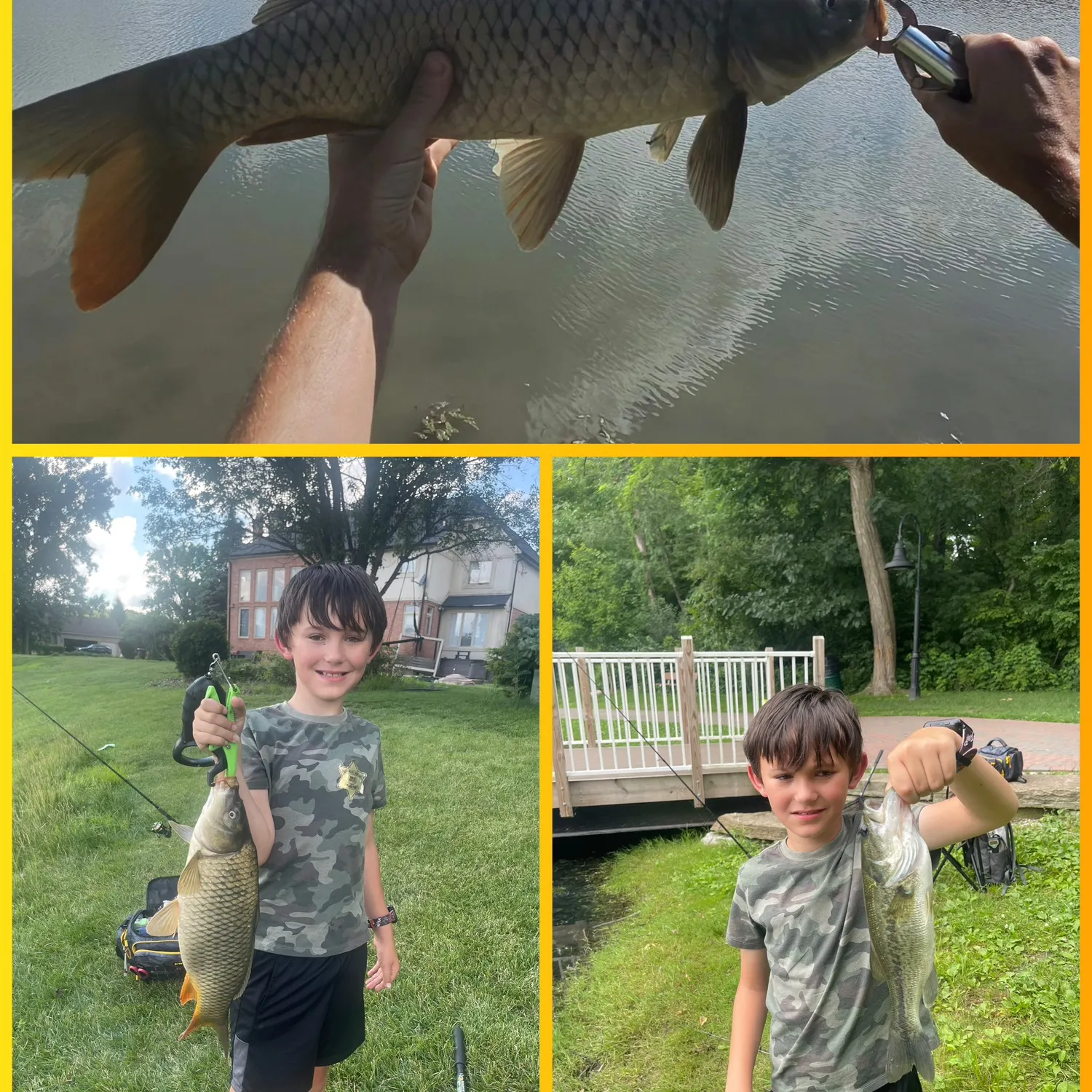 recently logged catches