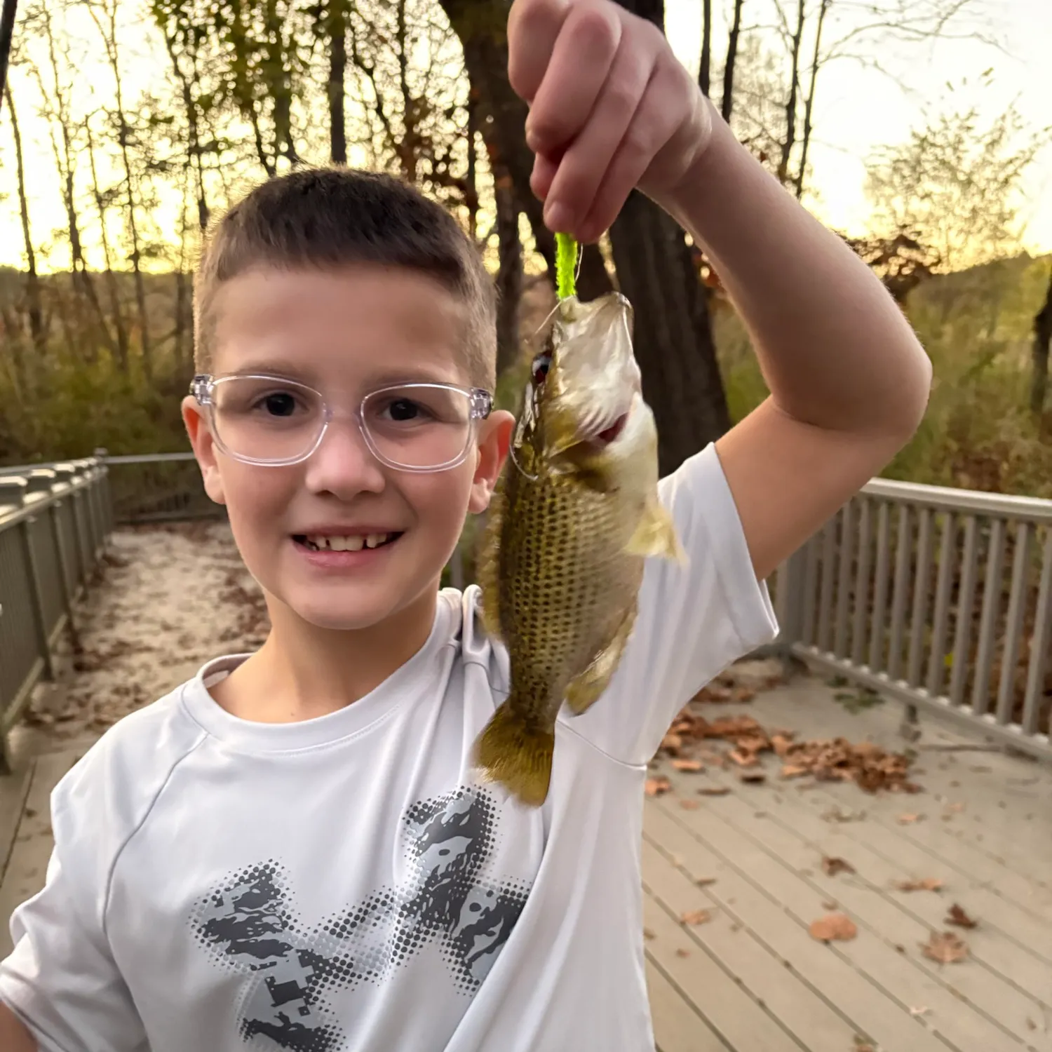 Rock bass caught on Fishbrain