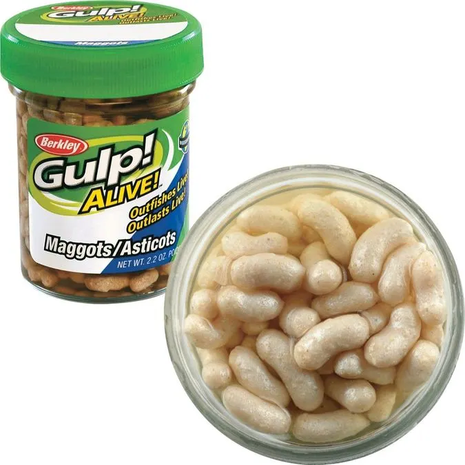 Maggots Micro Bait