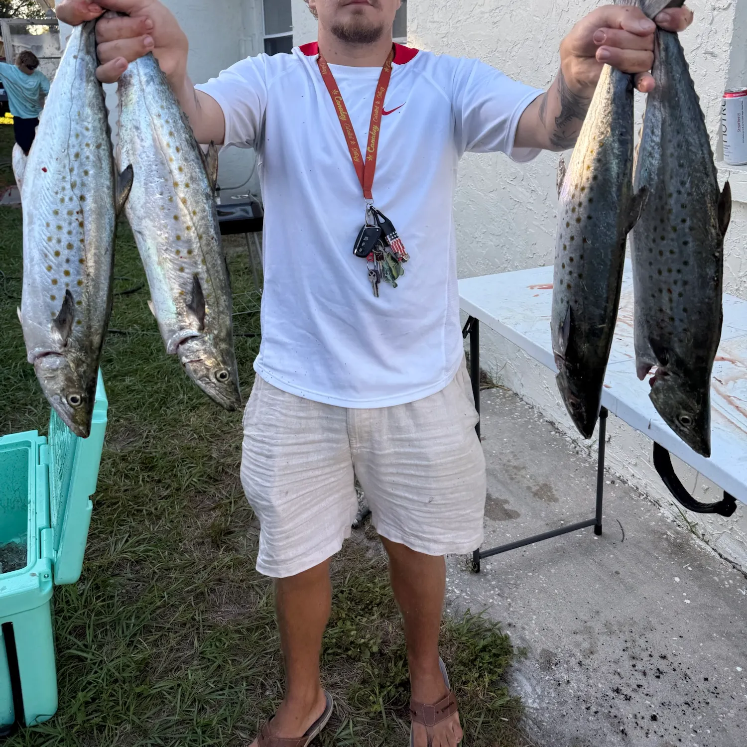 The most recent Cero mackerel catches on Fishbrain
