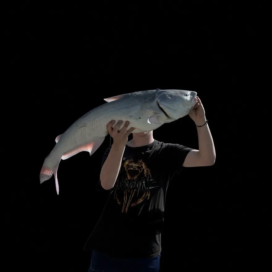 Blue catfish caught on Fishbrain