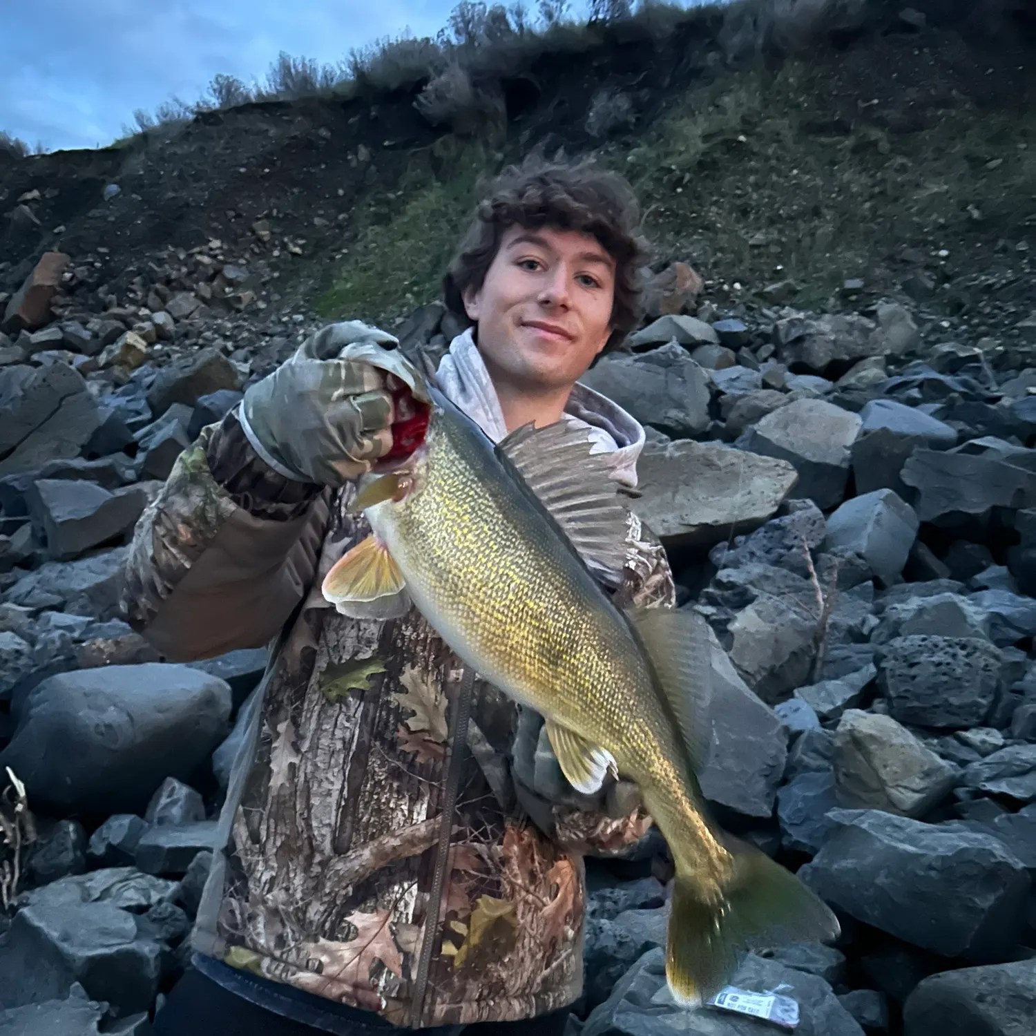 The most recent Walleye catches on Fishbrain