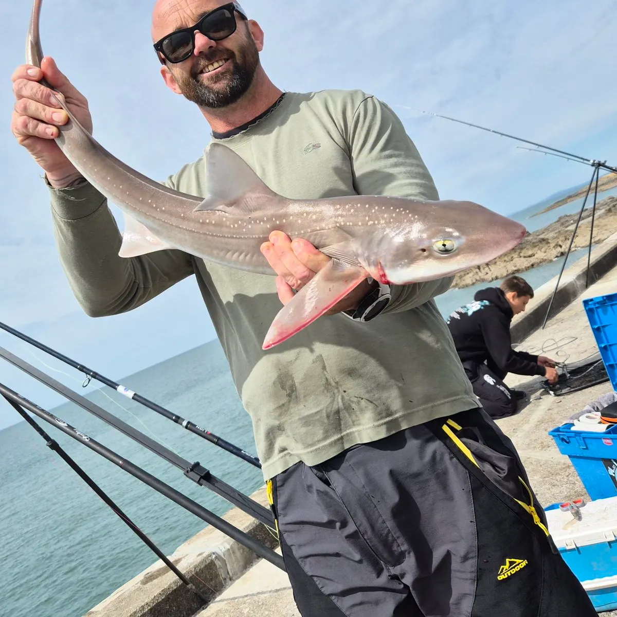 The most recent Starry smooth-hound catches on Fishbrain