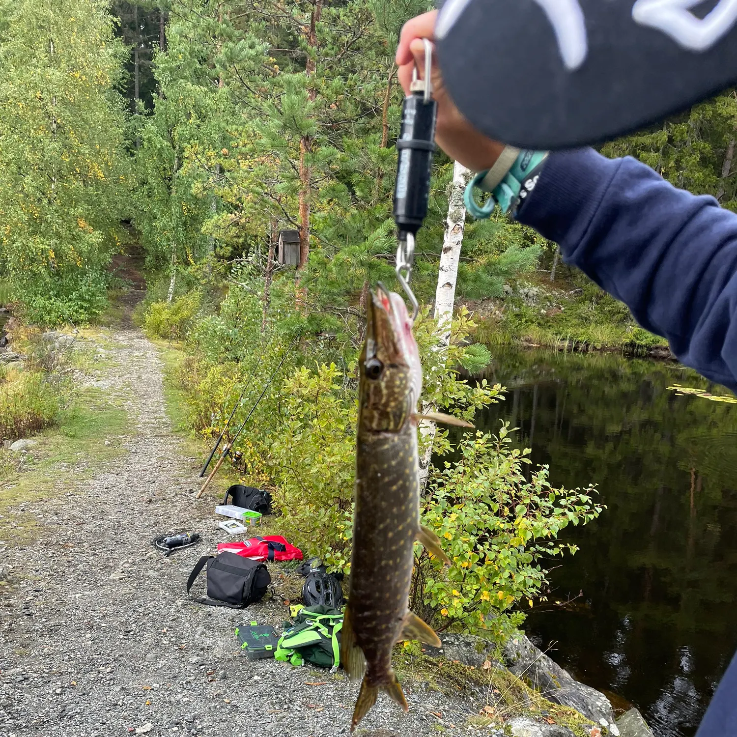 Northern pike caught on Fishbrain