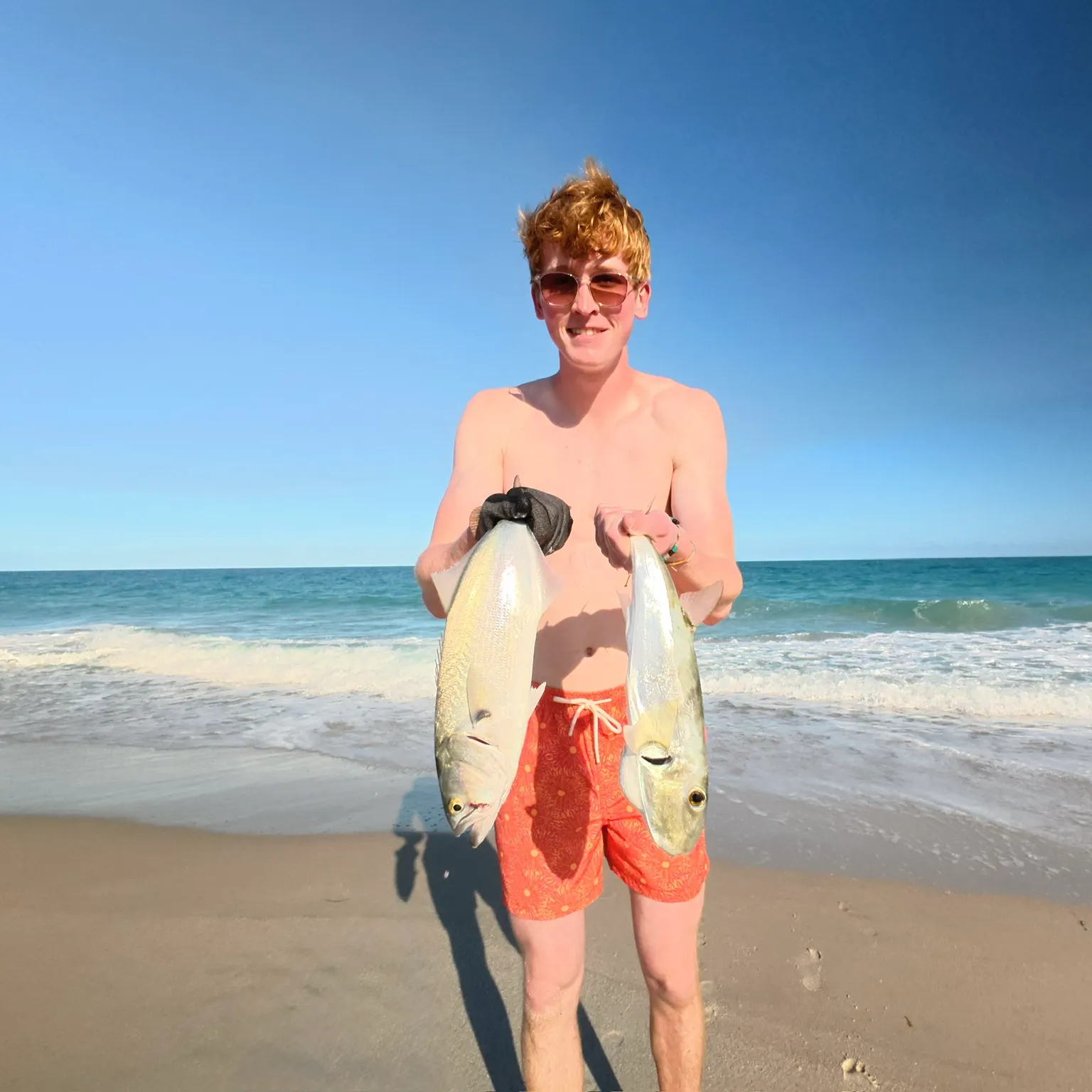 The most recent Southern puffer catches on Fishbrain