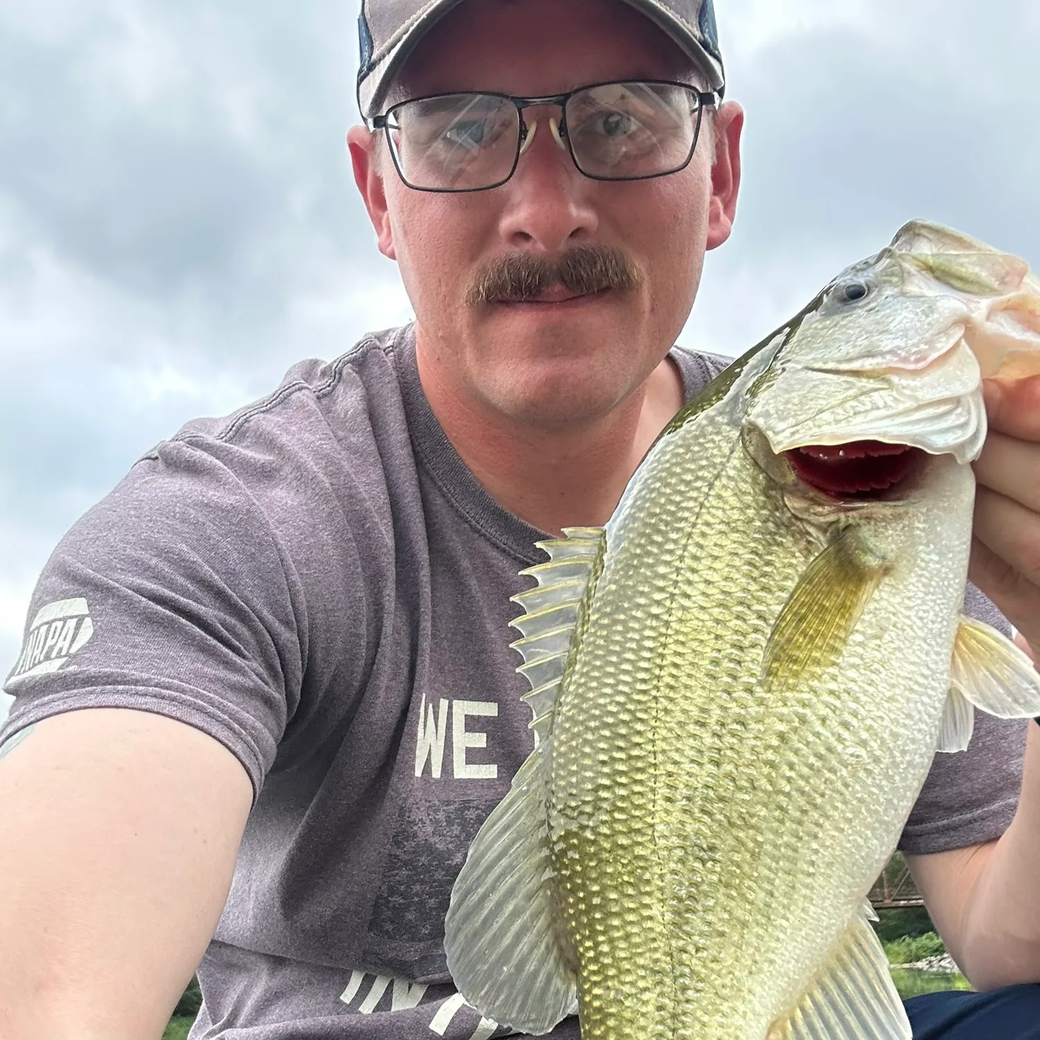 Largemouth bass caught on Fishbrain