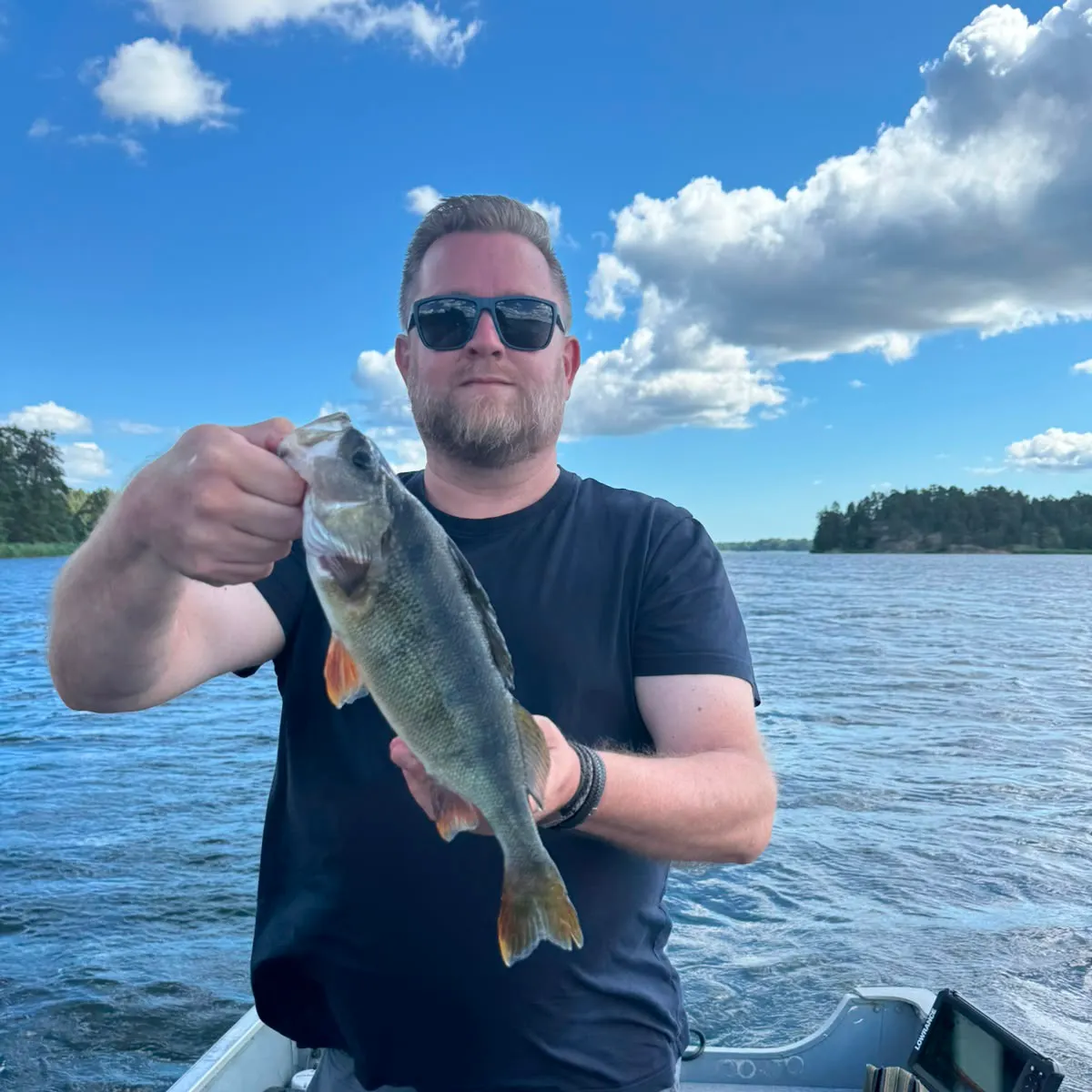 European perch caught on Fishbrain