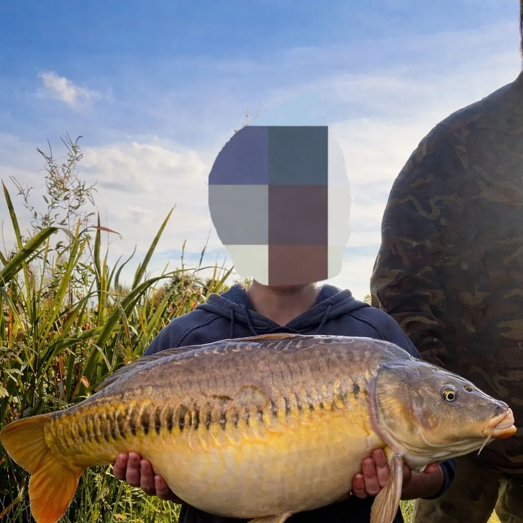 The most recent Mirror carp catches on Fishbrain