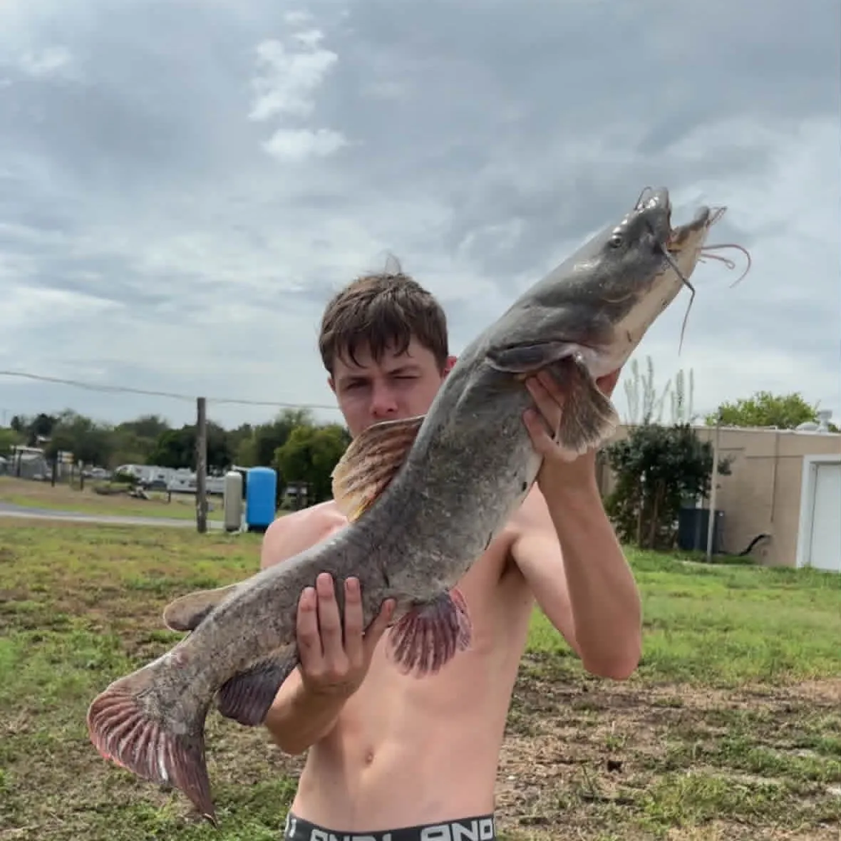 Flathead catfish caught on Fishbrain