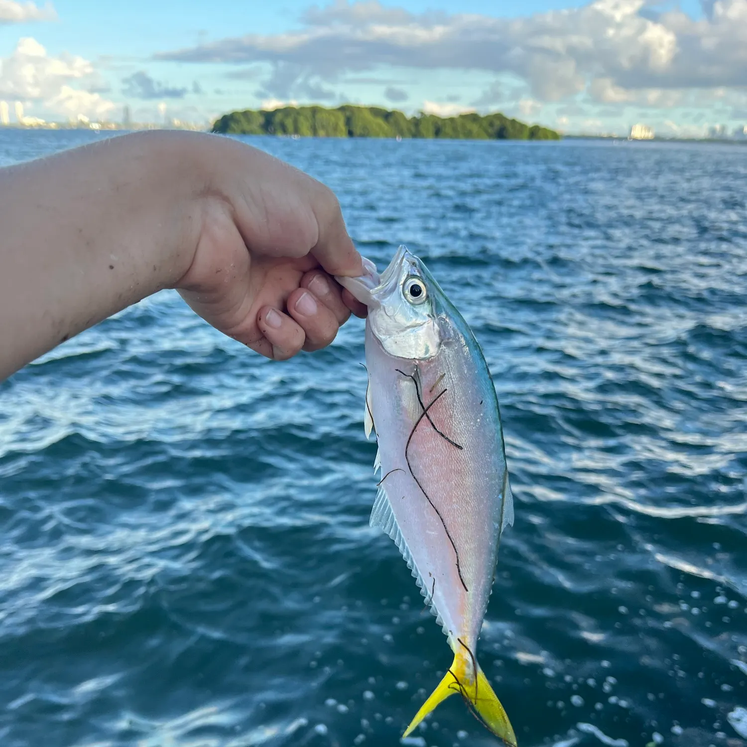 Leatherjack caught on Fishbrain