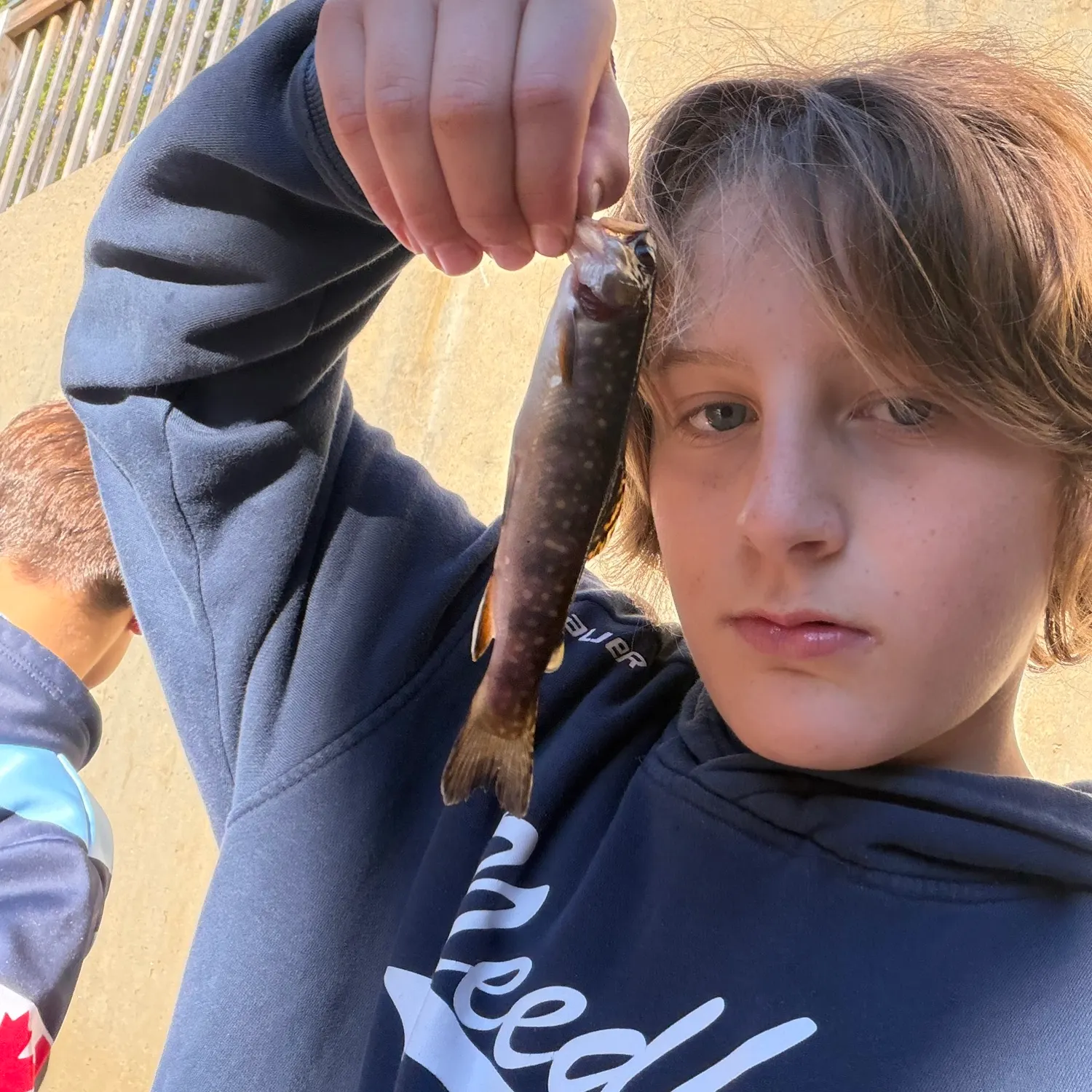 Brook trout caught on Fishbrain