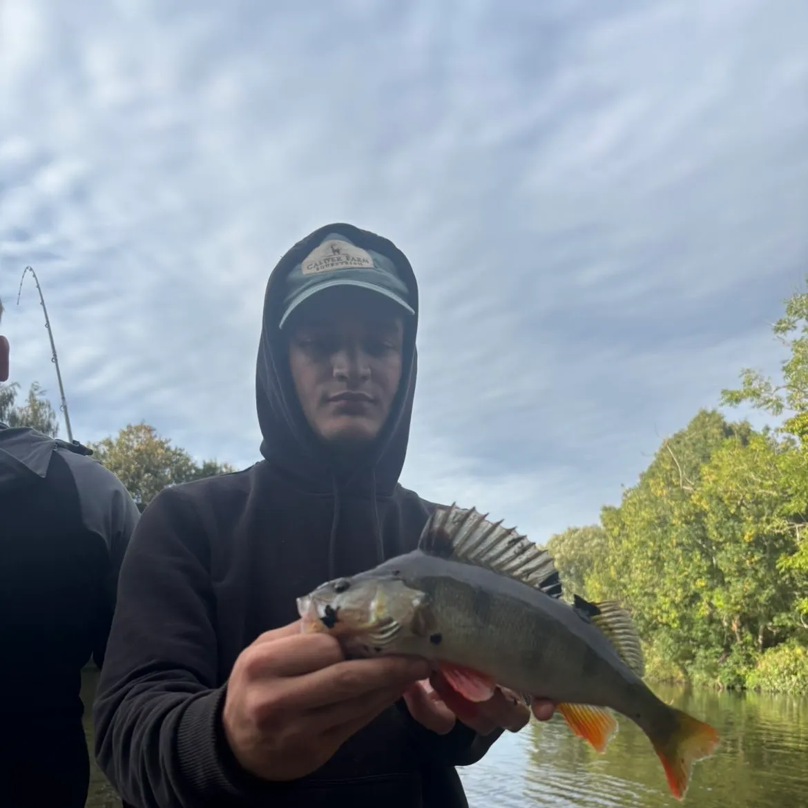 European perch caught on Fishbrain