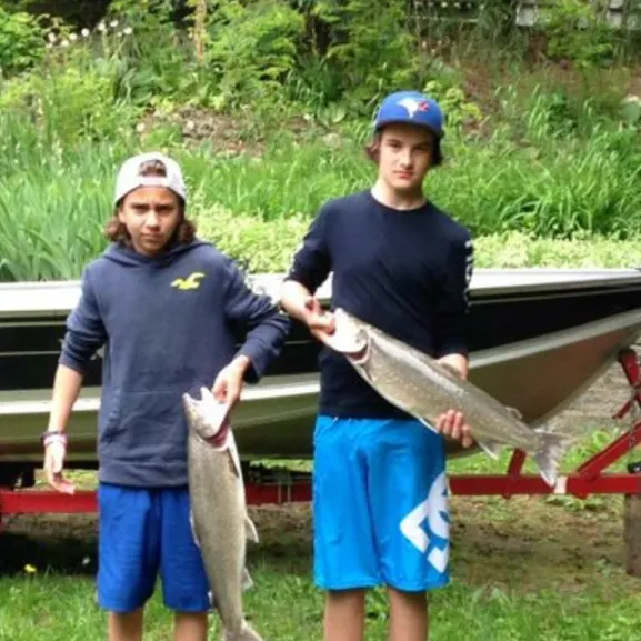Bull trout caught on Fishbrain