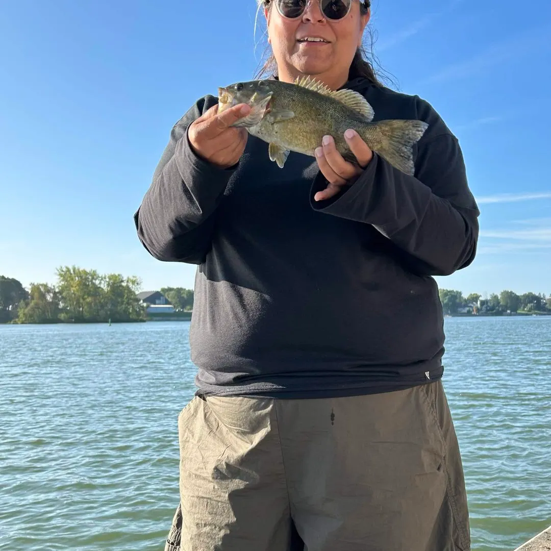 Smallmouth bass caught on Fishbrain