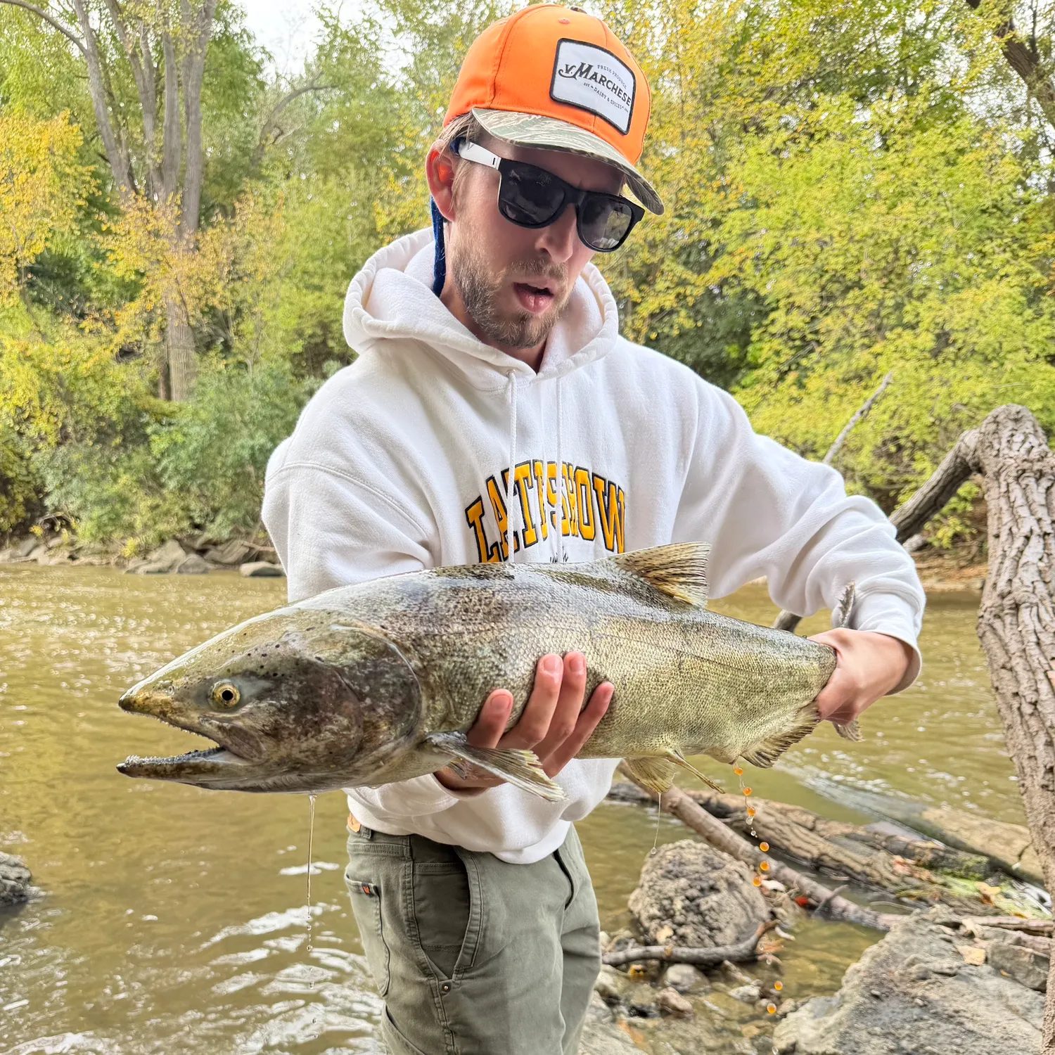 Chinook salmon caught on Fishbrain
