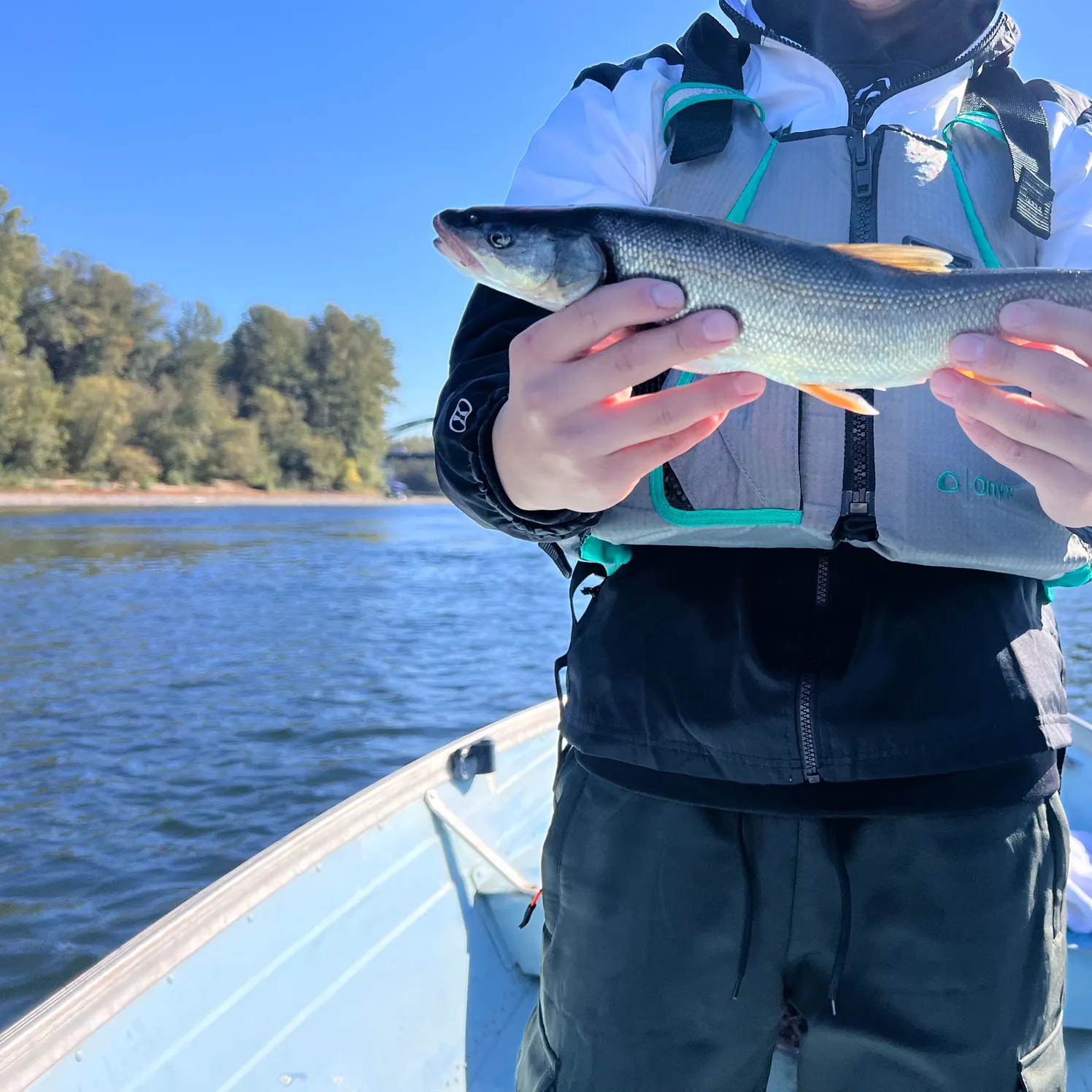 Northern pikeminnow caught on Fishbrain