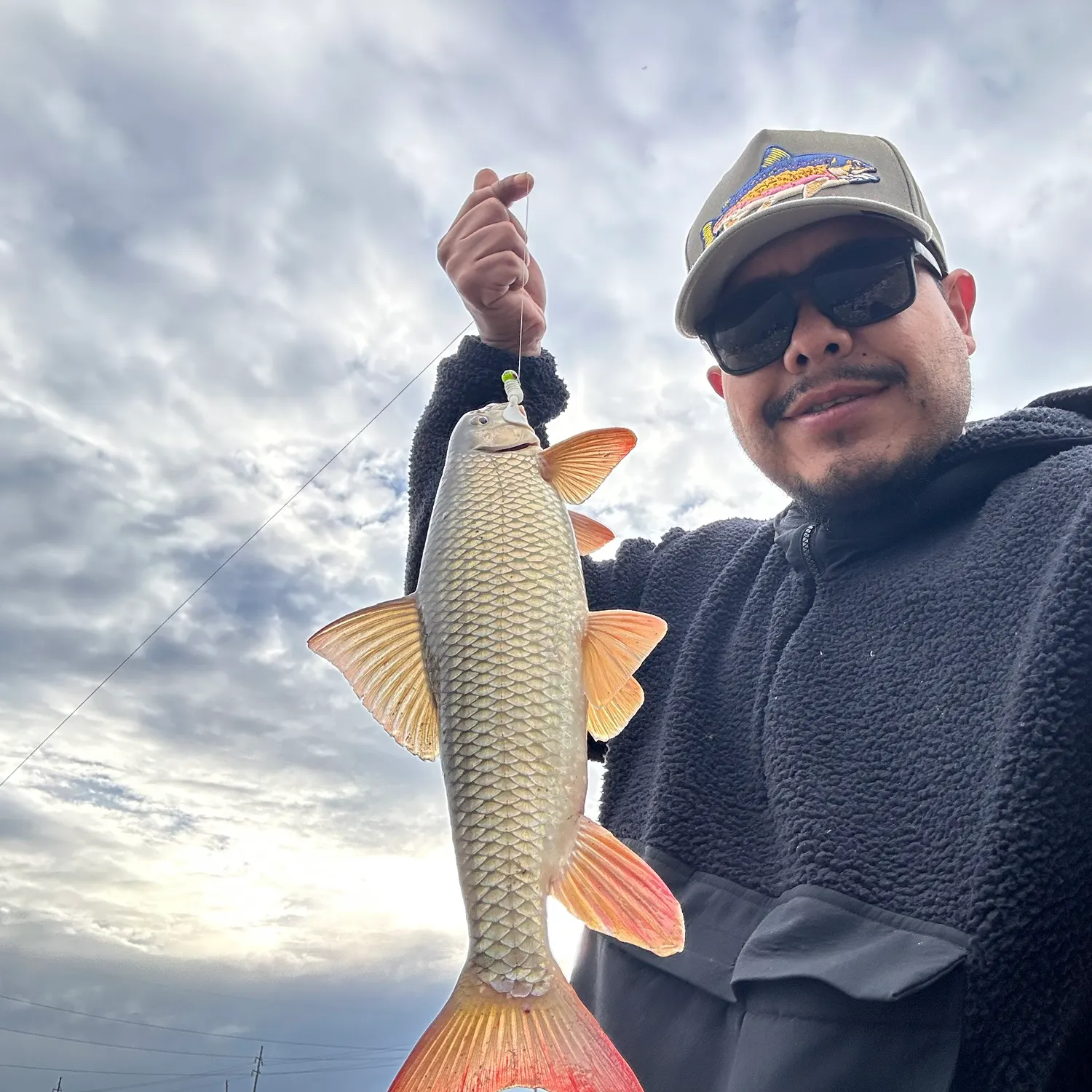 The most recent Smallmouth redhorse catches on Fishbrain