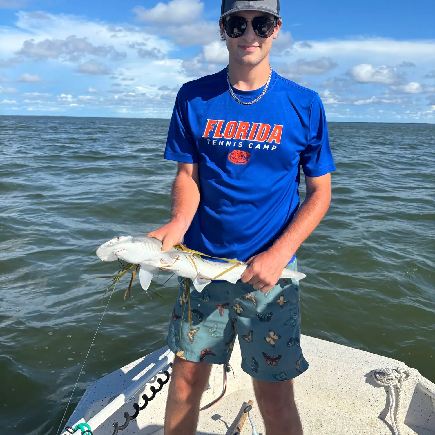 Bonnethead shark caught on Fishbrain
