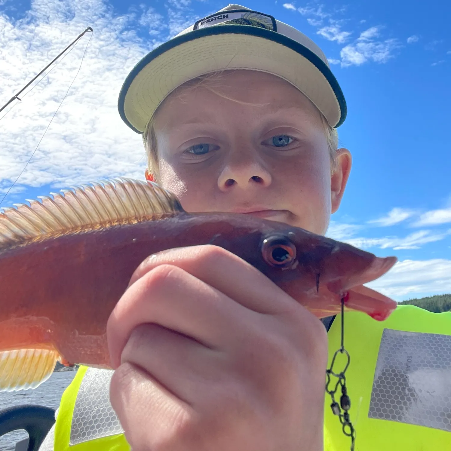 Cuckoo wrasse caught on Fishbrain