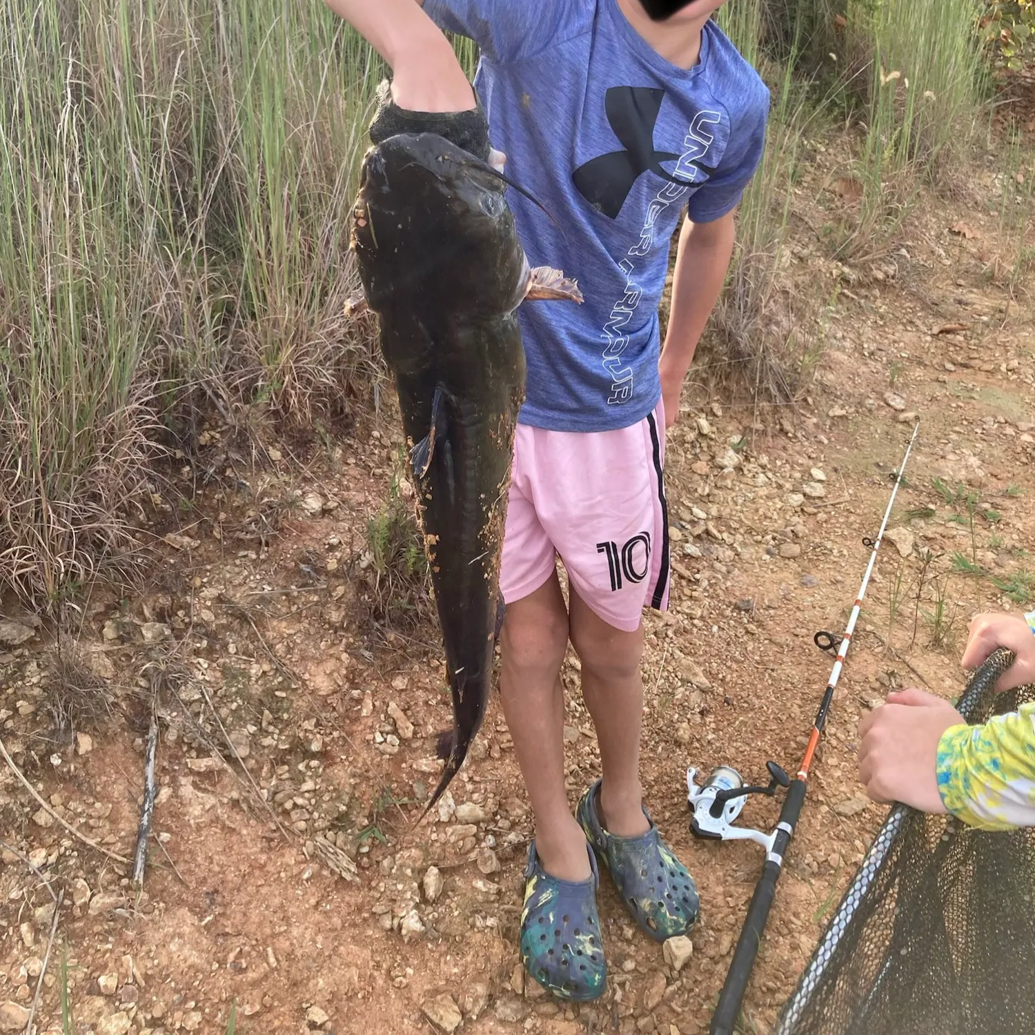 Channel catfish caught on Fishbrain