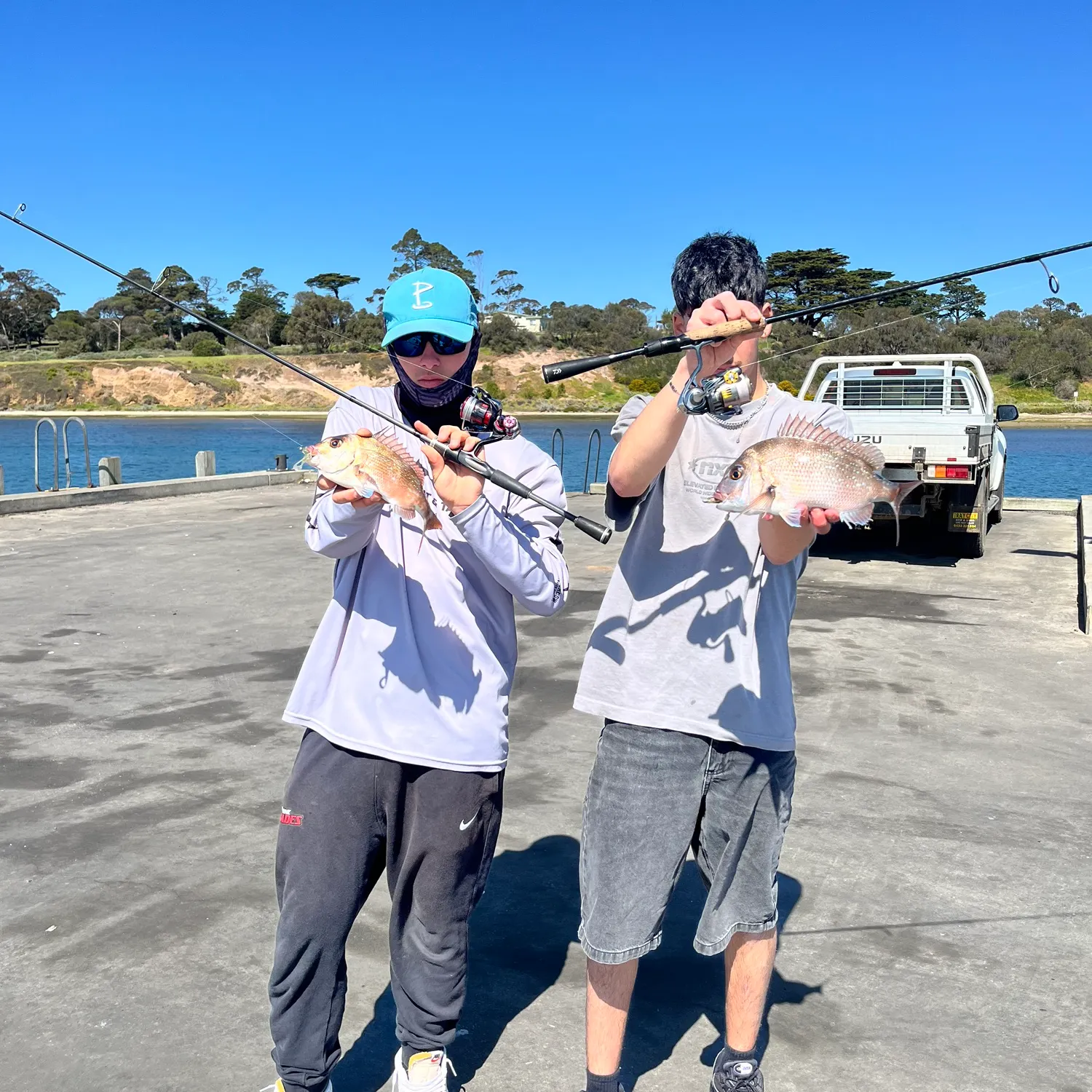 Javelin grunter caught on Fishbrain