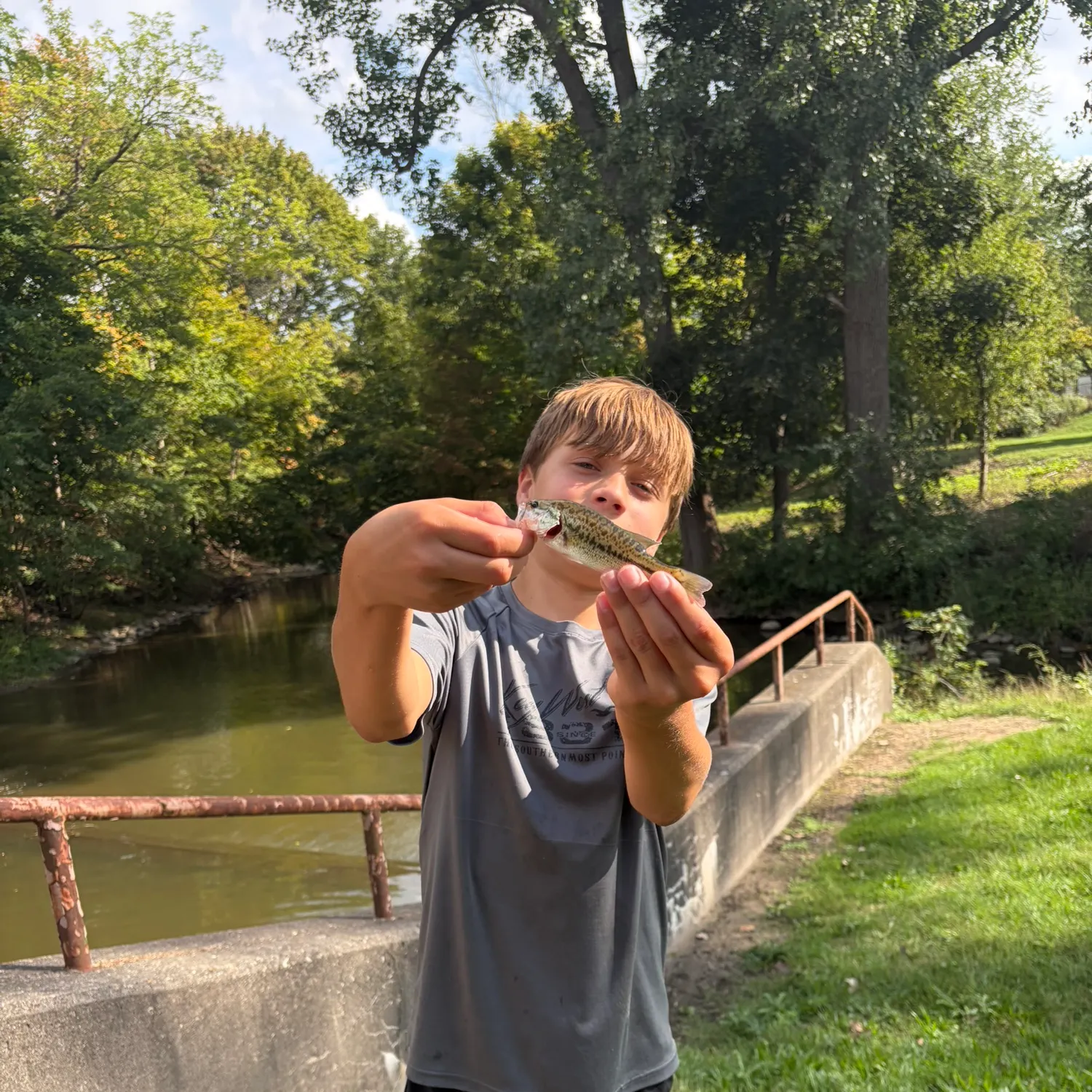 Spotted bass caught on Fishbrain