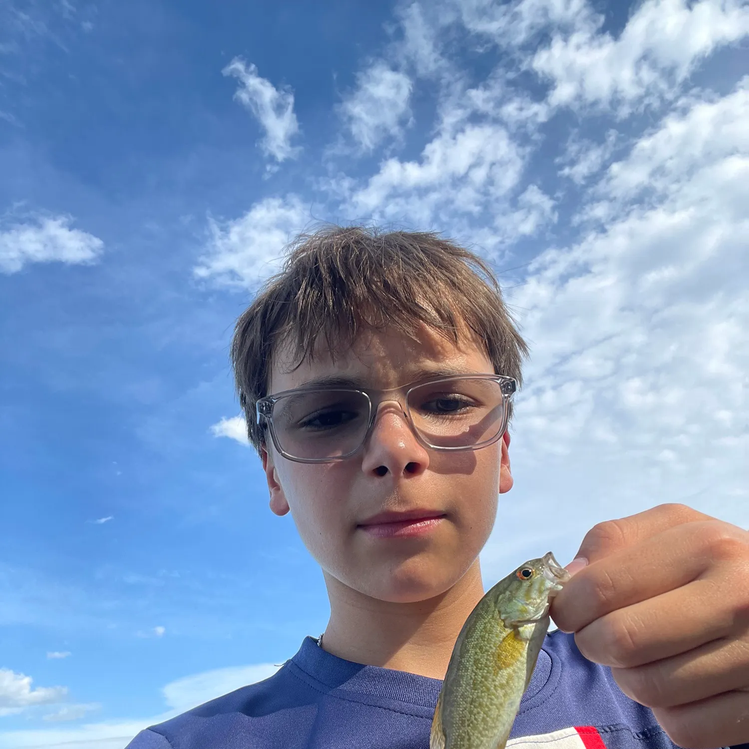 The most recent Smallmouth bass catches on Fishbrain