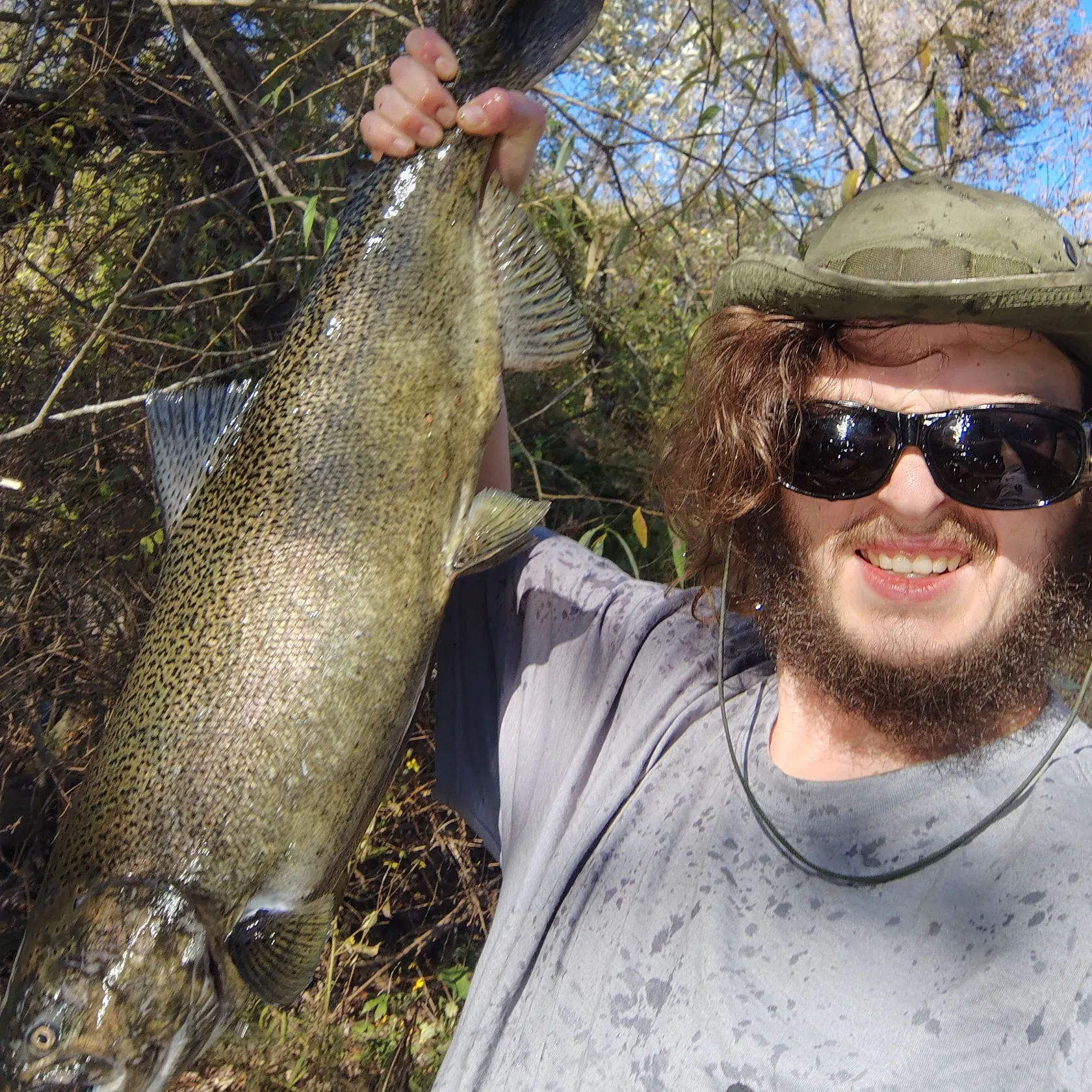 Chinook salmon caught on Fishbrain