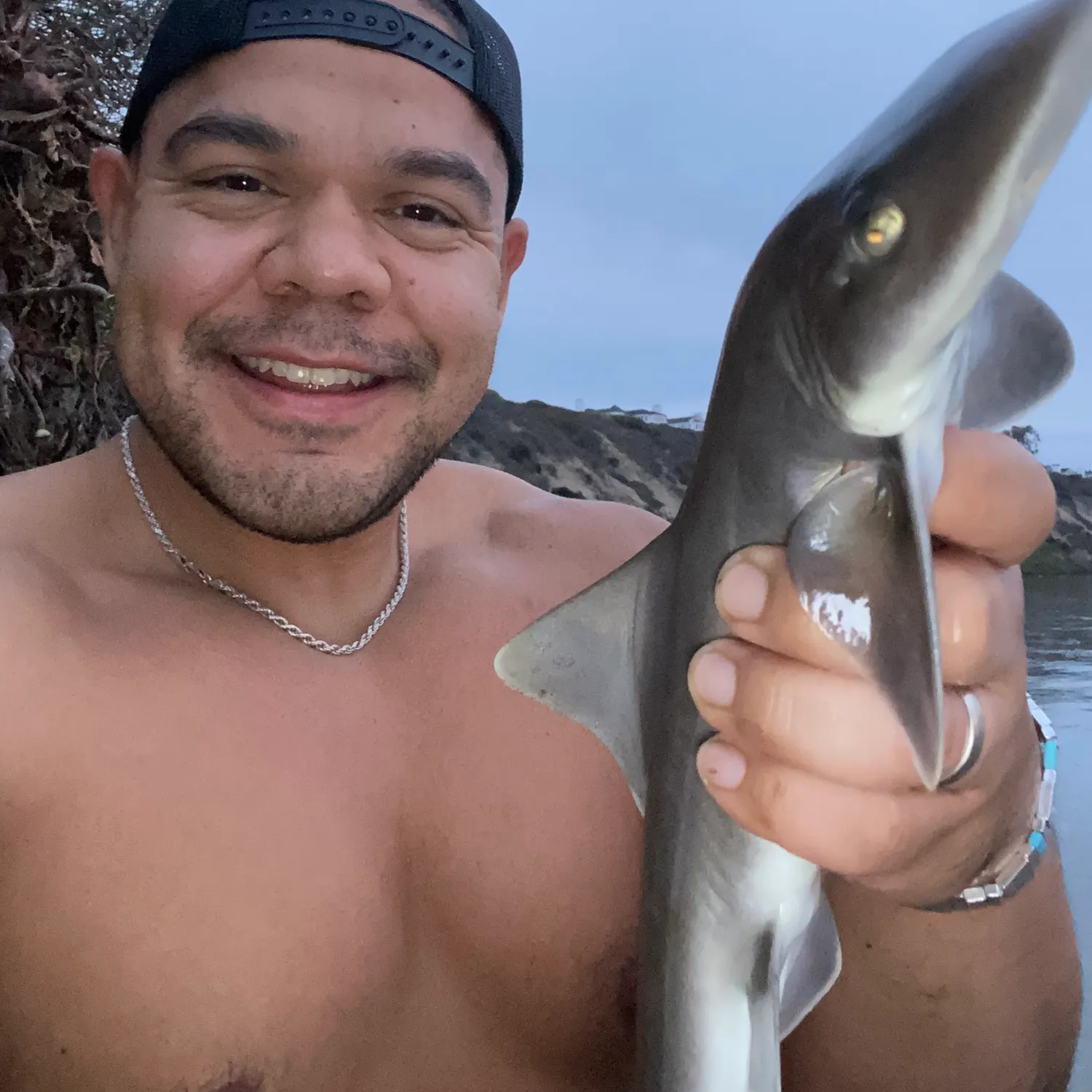 The most recent Grey smooth-hound catches on Fishbrain