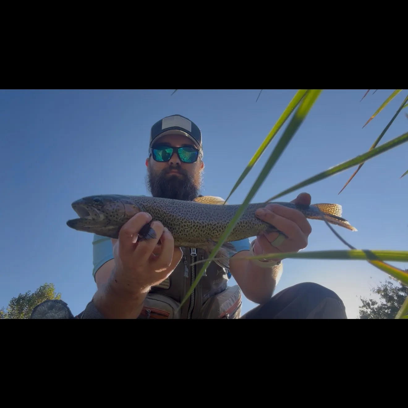 Rainbow trout caught on Fishbrain
