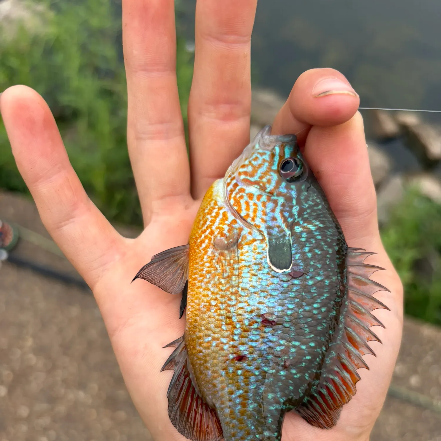 catch